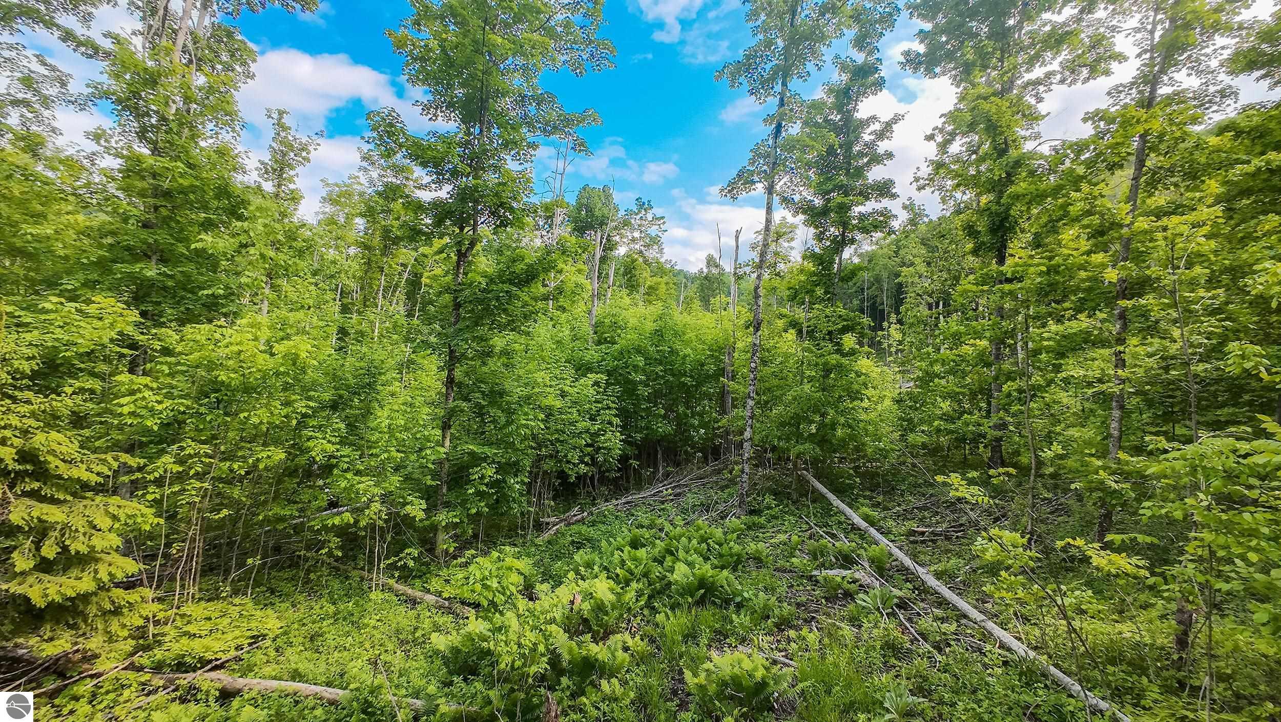 891 N Skinkle Road