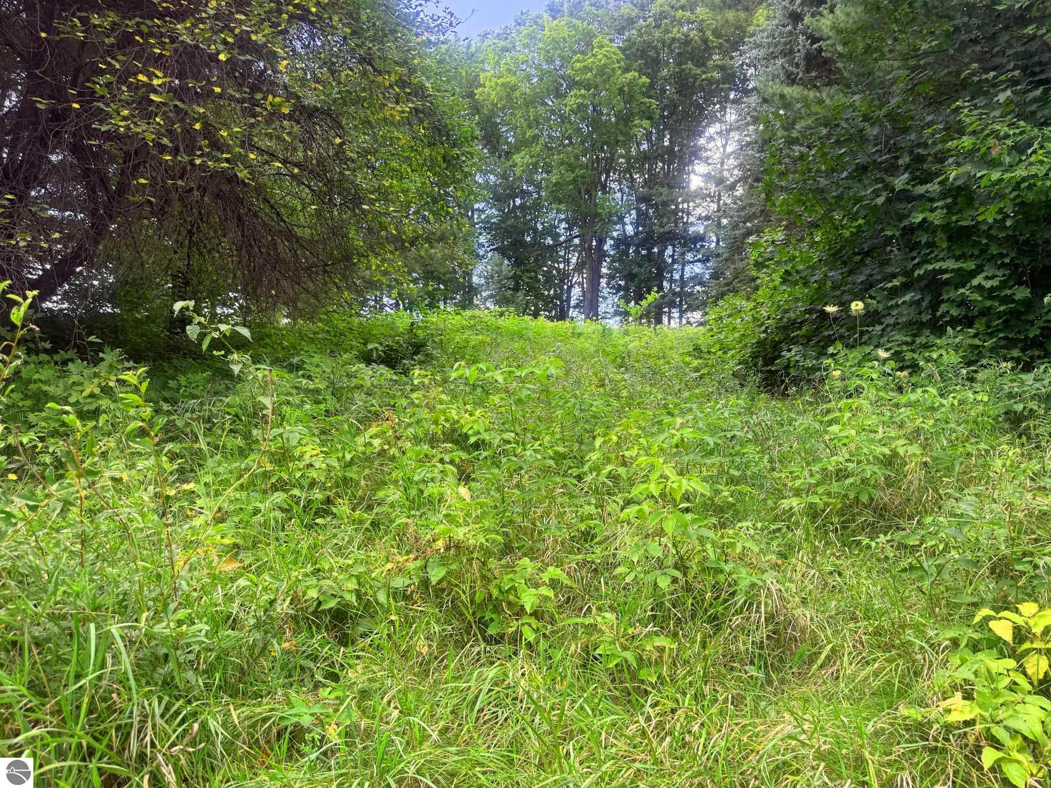 Lot #10 Kadi Lane