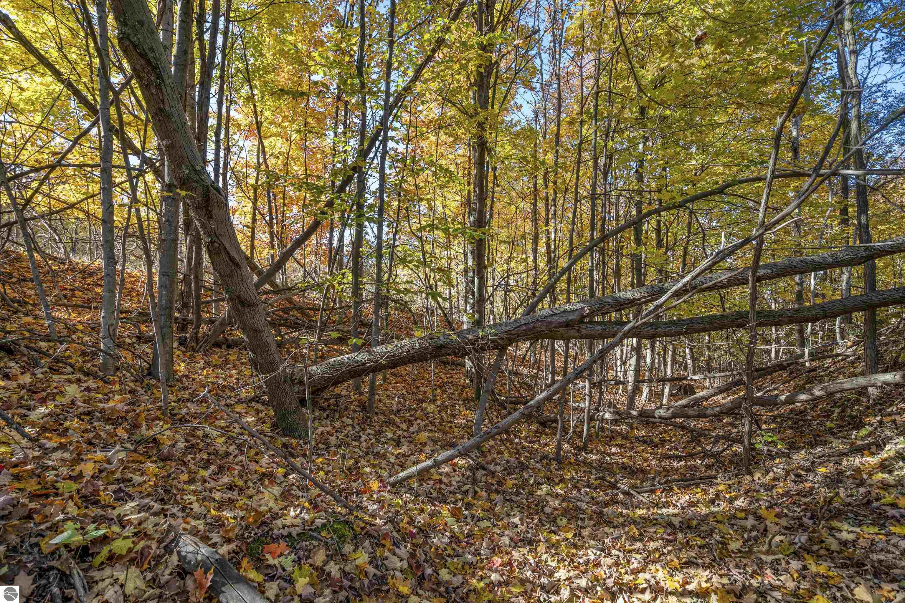 0 S Scenic View Drive