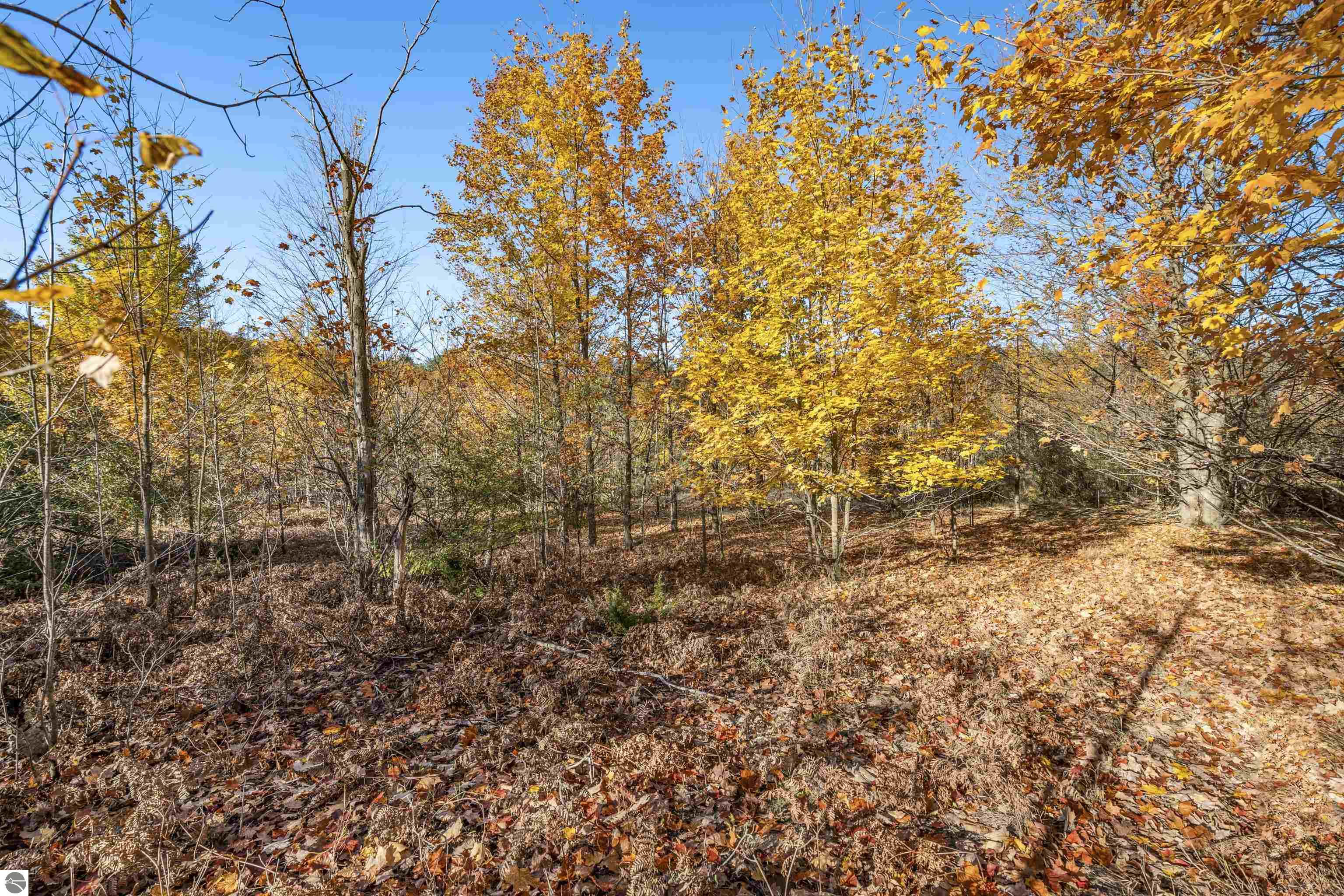 0 S Scenic View Drive