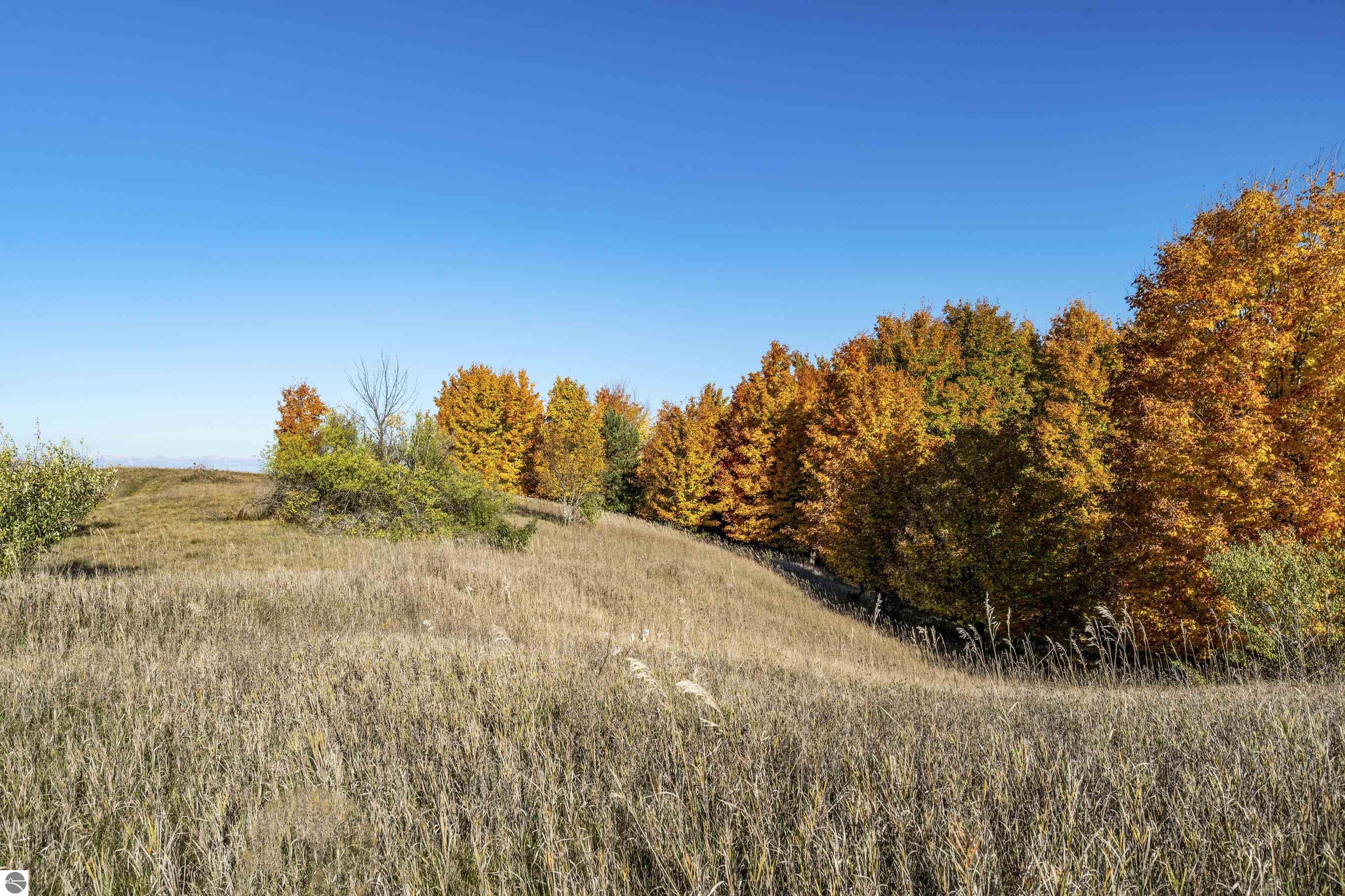 0 S Scenic View Drive