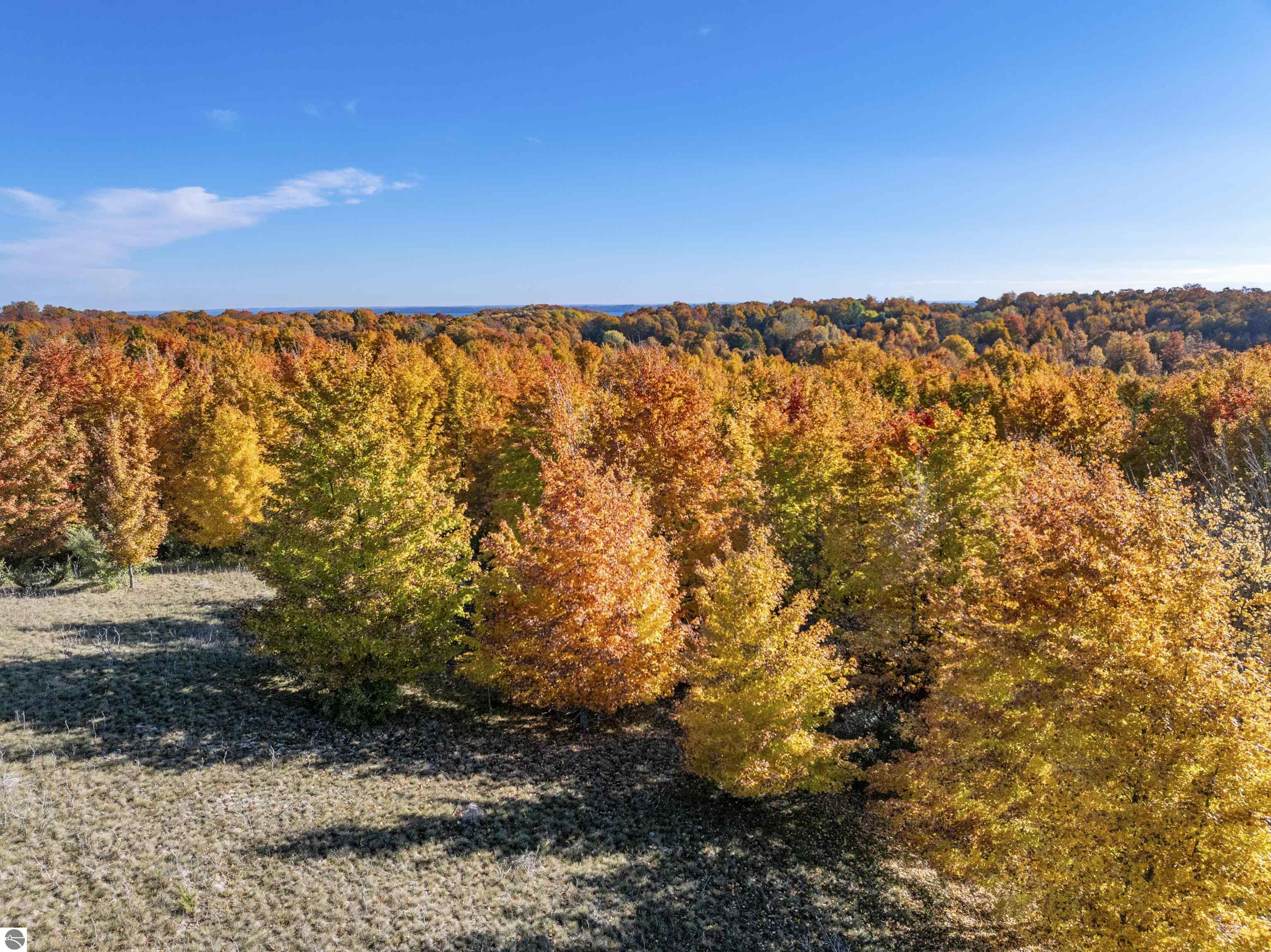 0 S Scenic View Drive