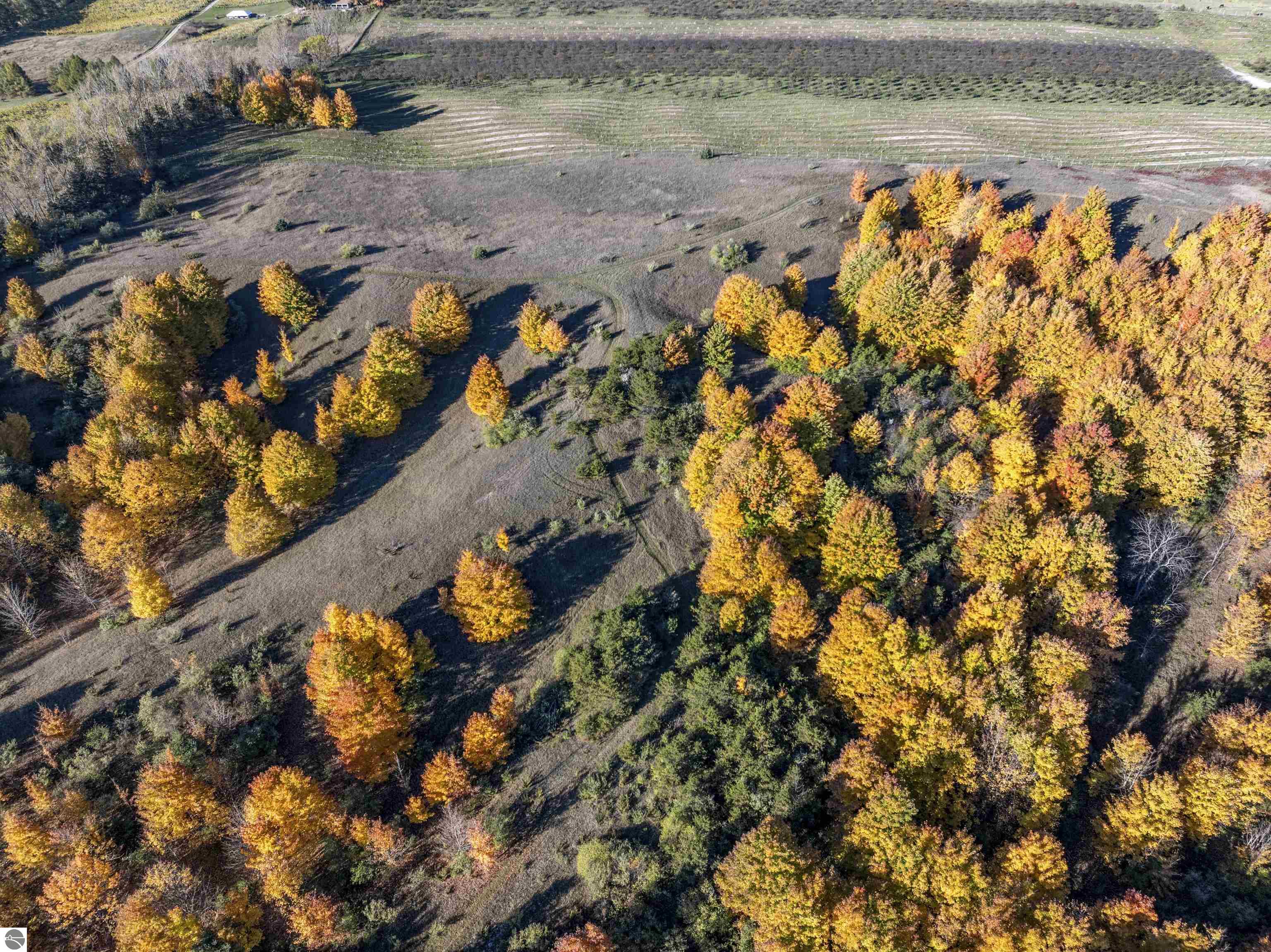 0 S Scenic View Drive