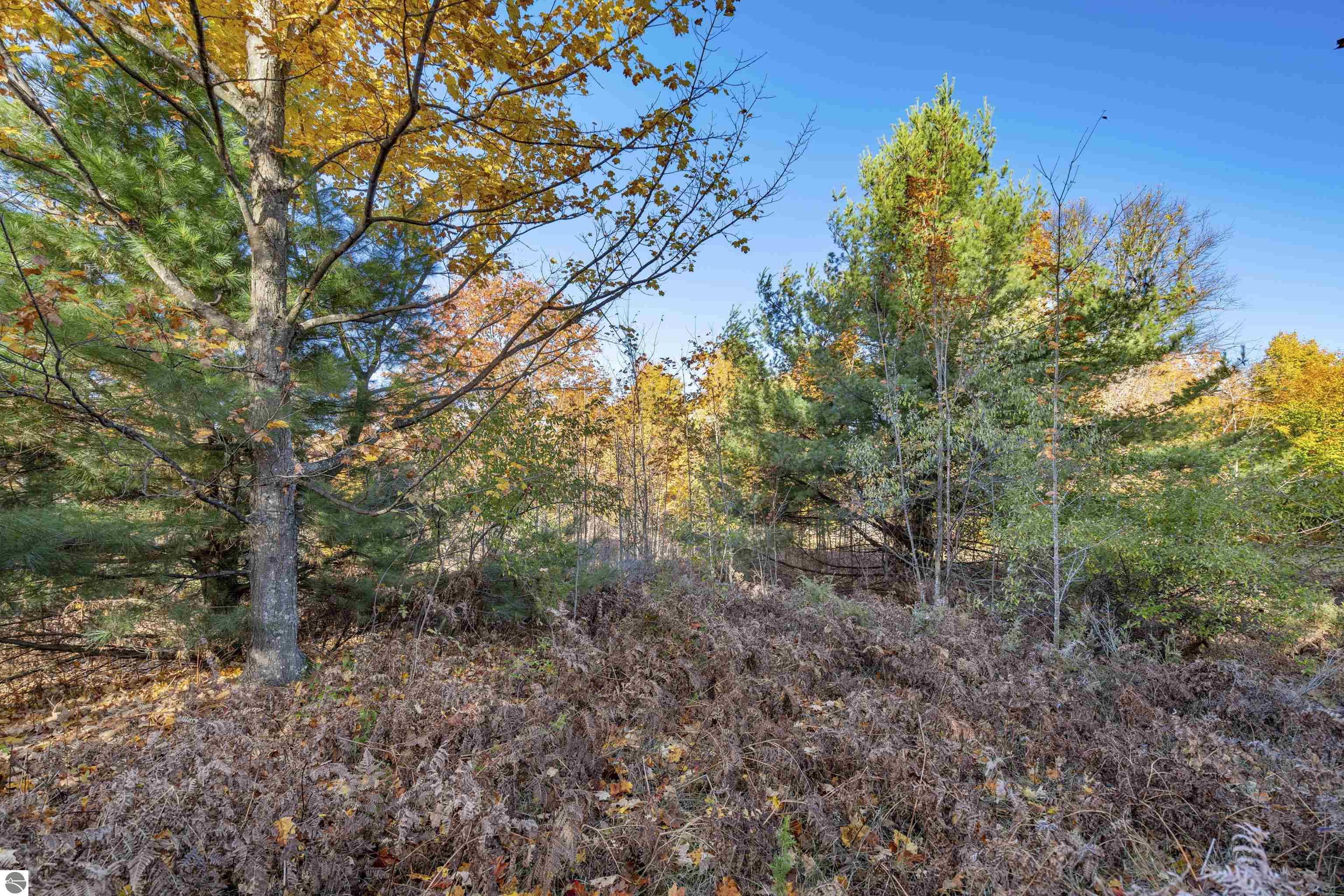 0 S Scenic View Drive