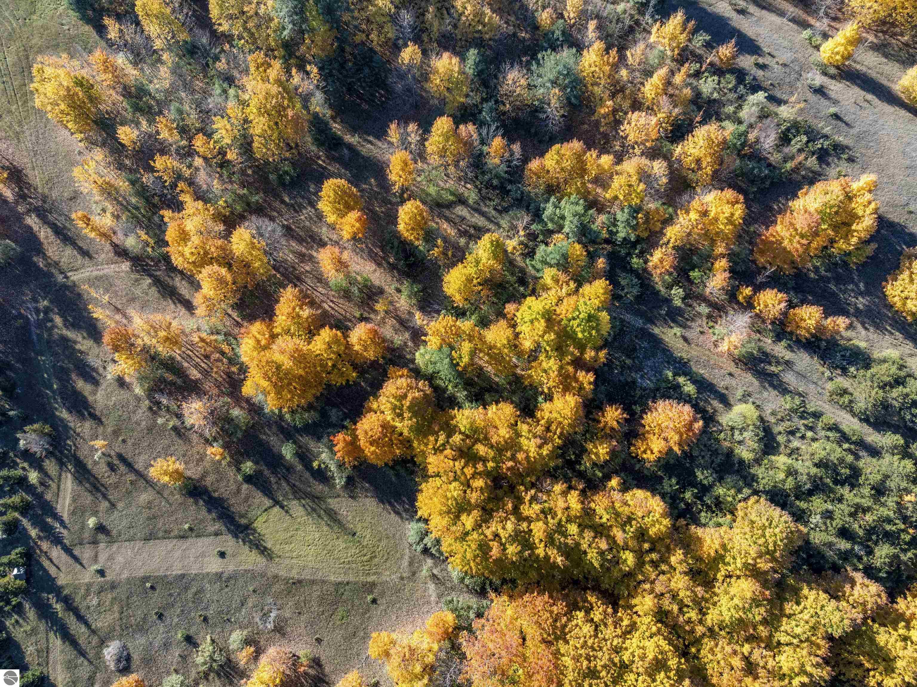 0 S Scenic View Drive