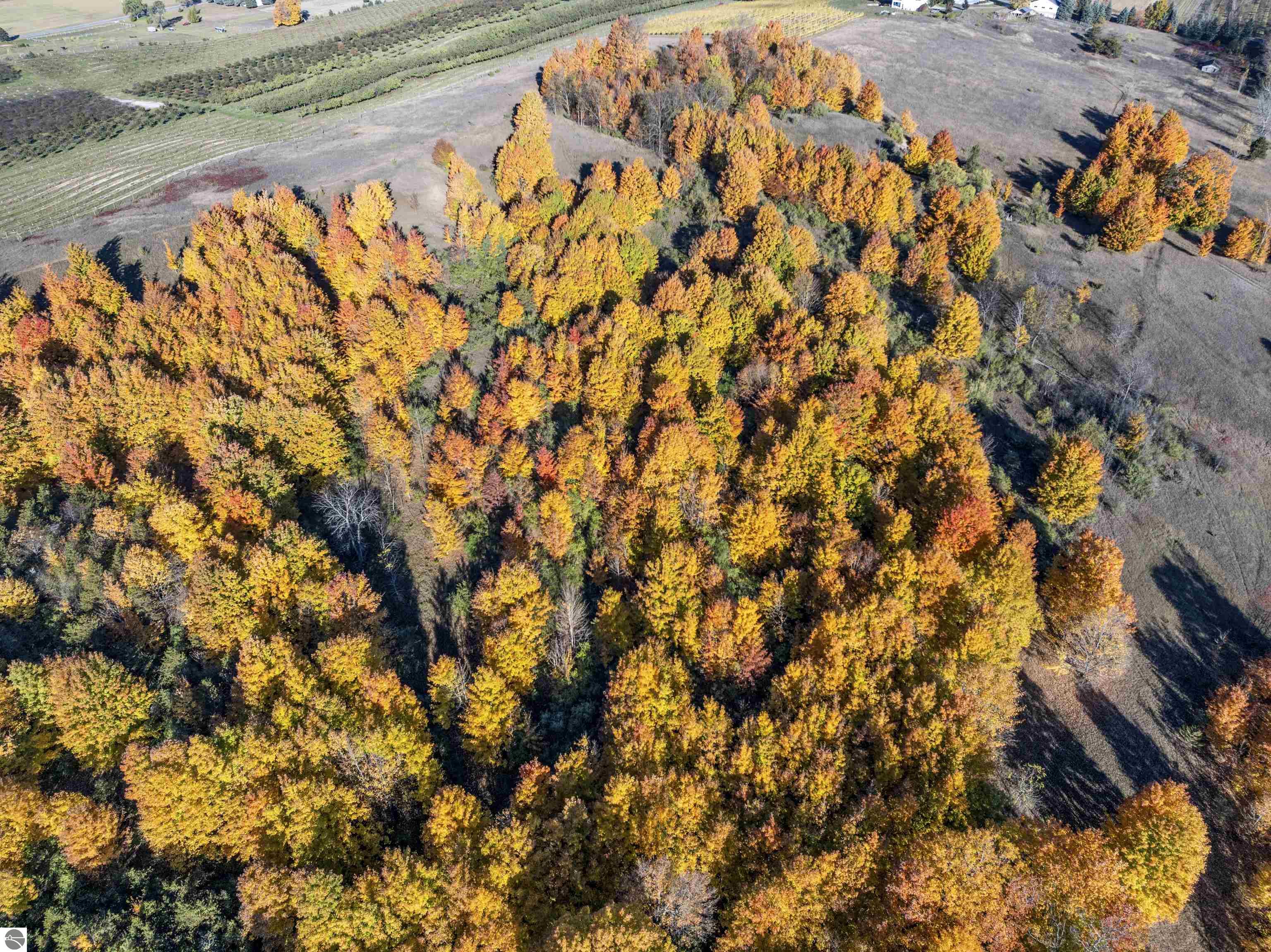 0 S Scenic View Drive