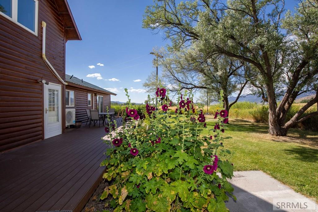 3591 Swan Valley Hwy