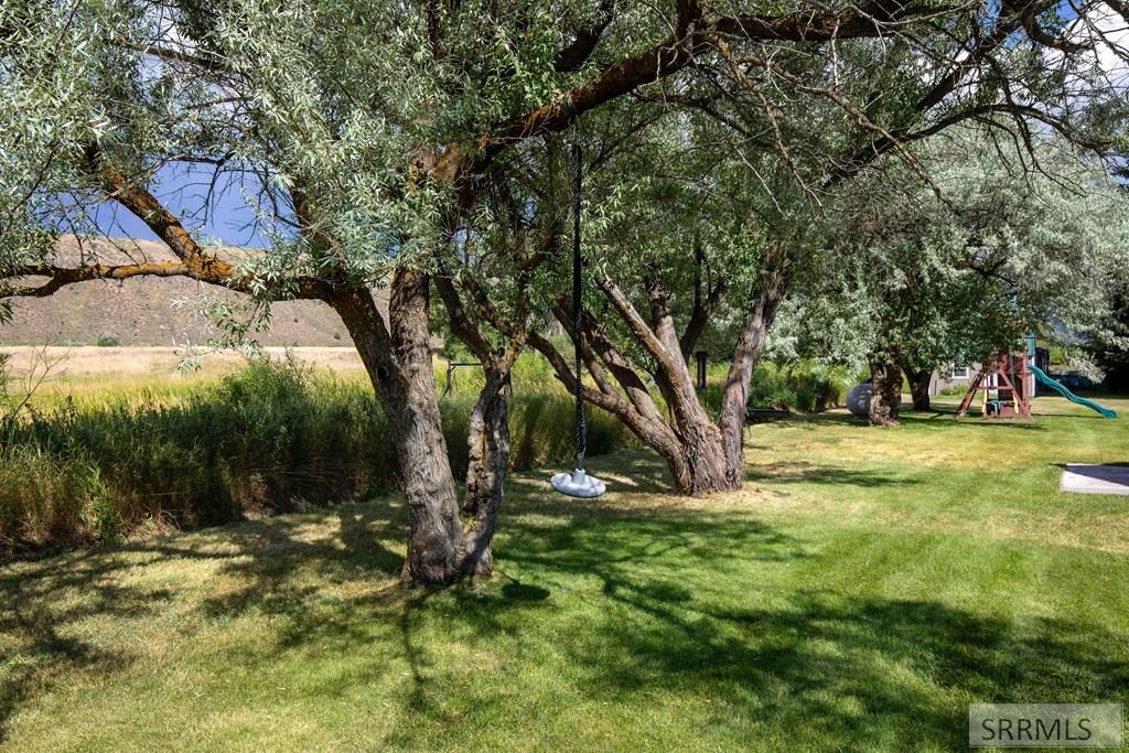 3591 Swan Valley Hwy