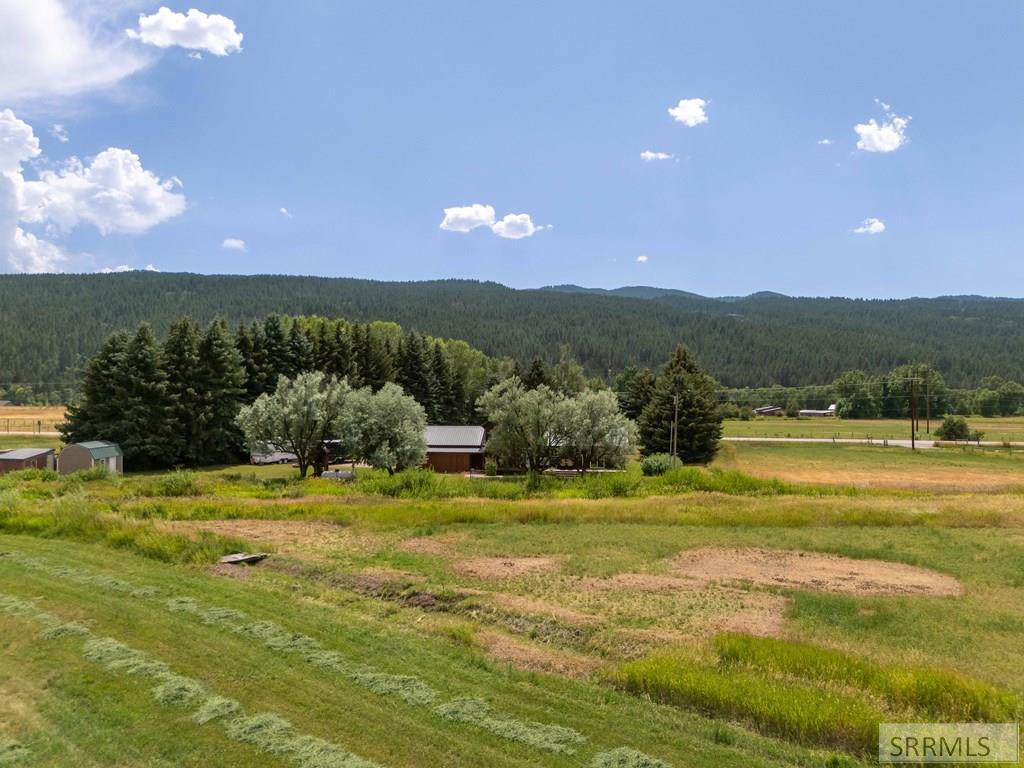 3591 Swan Valley Hwy