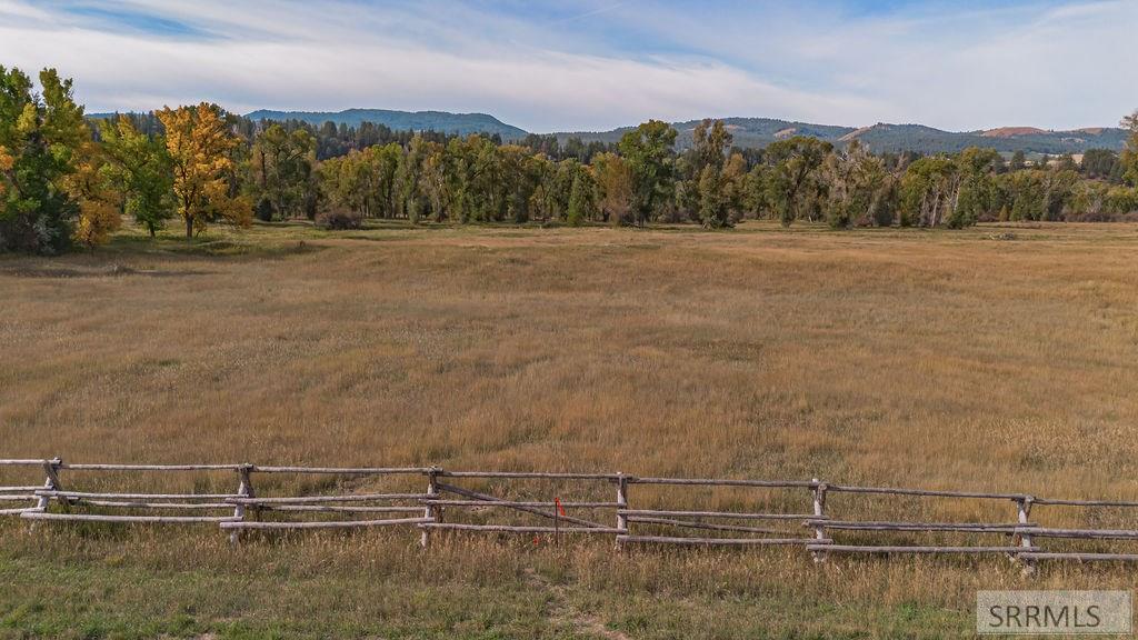 TBD Whitetail Drive