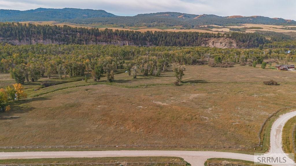 TBD Whitetail Drive