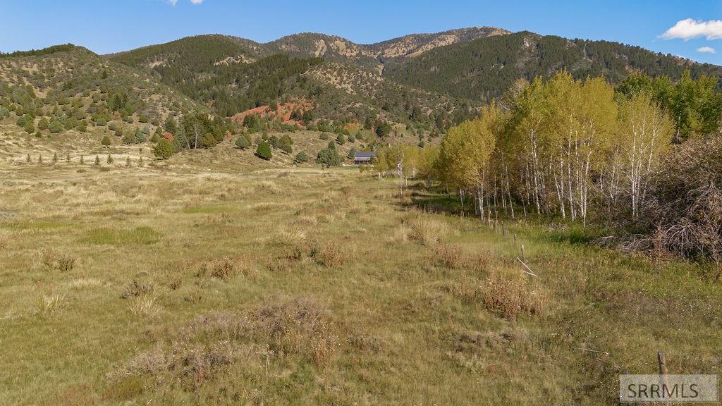 176 Elk Path