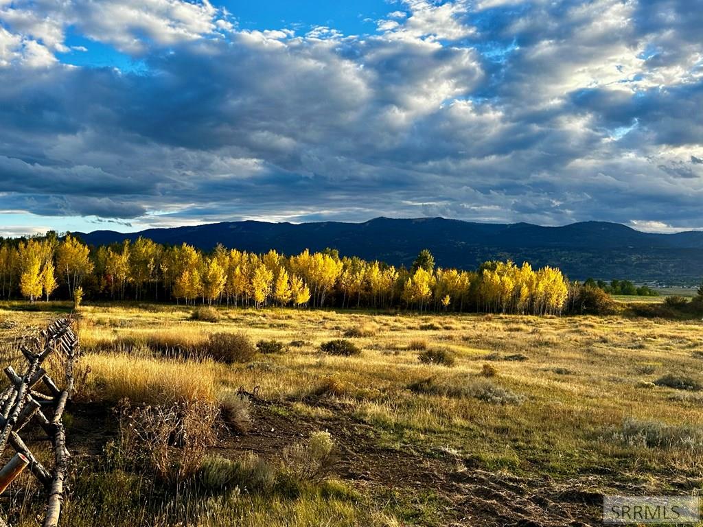 176 Elk Path