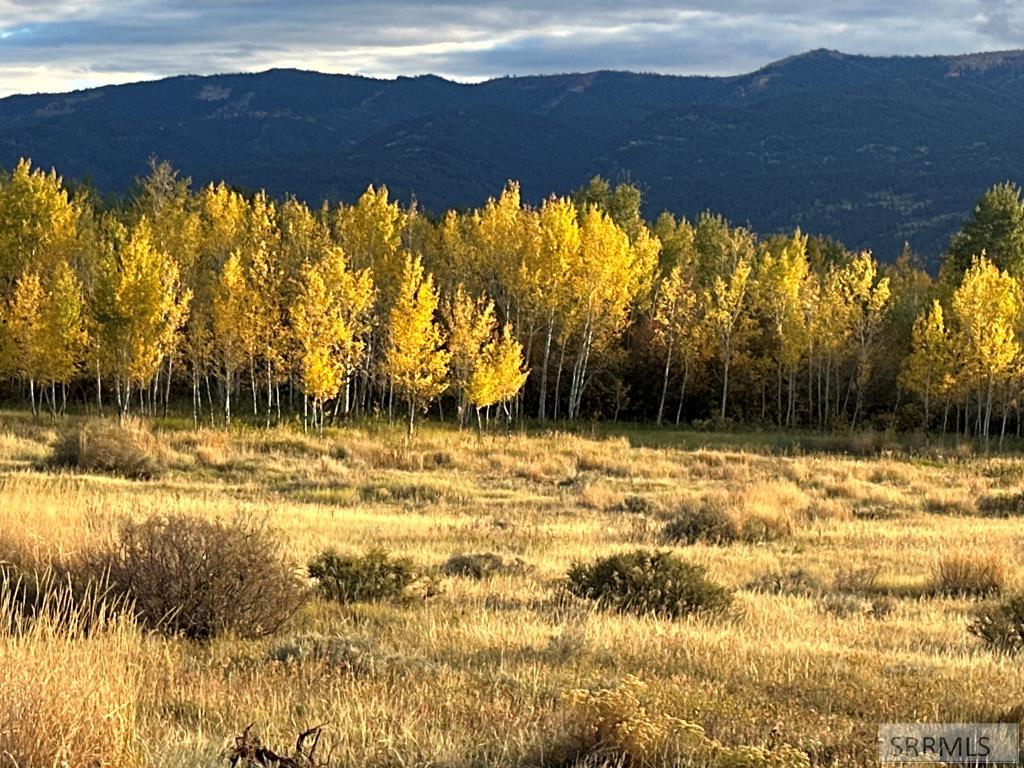 176 Elk Path