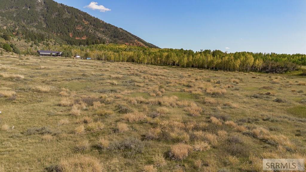 176 Elk Path