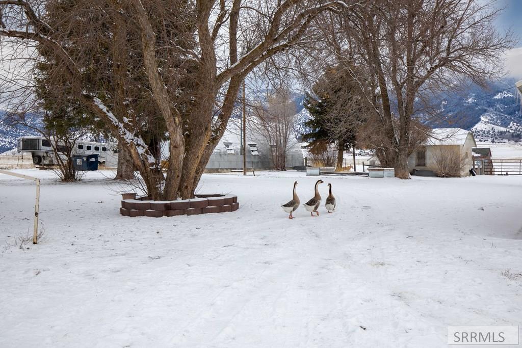 2226 Irwin North Road