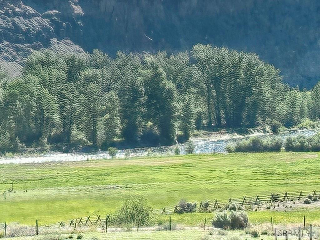 #5 Homestead Trail