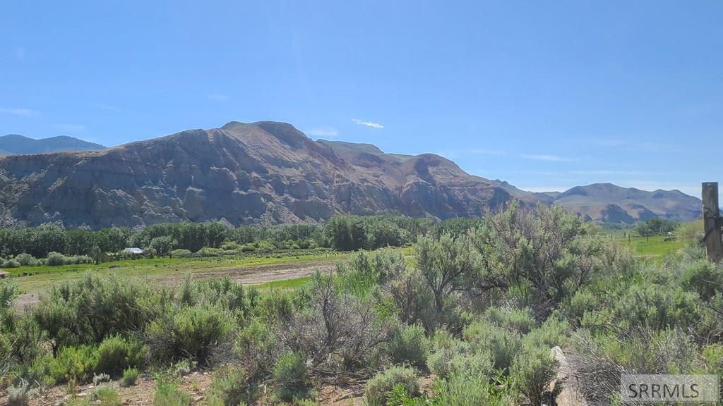#5 Homestead Trail