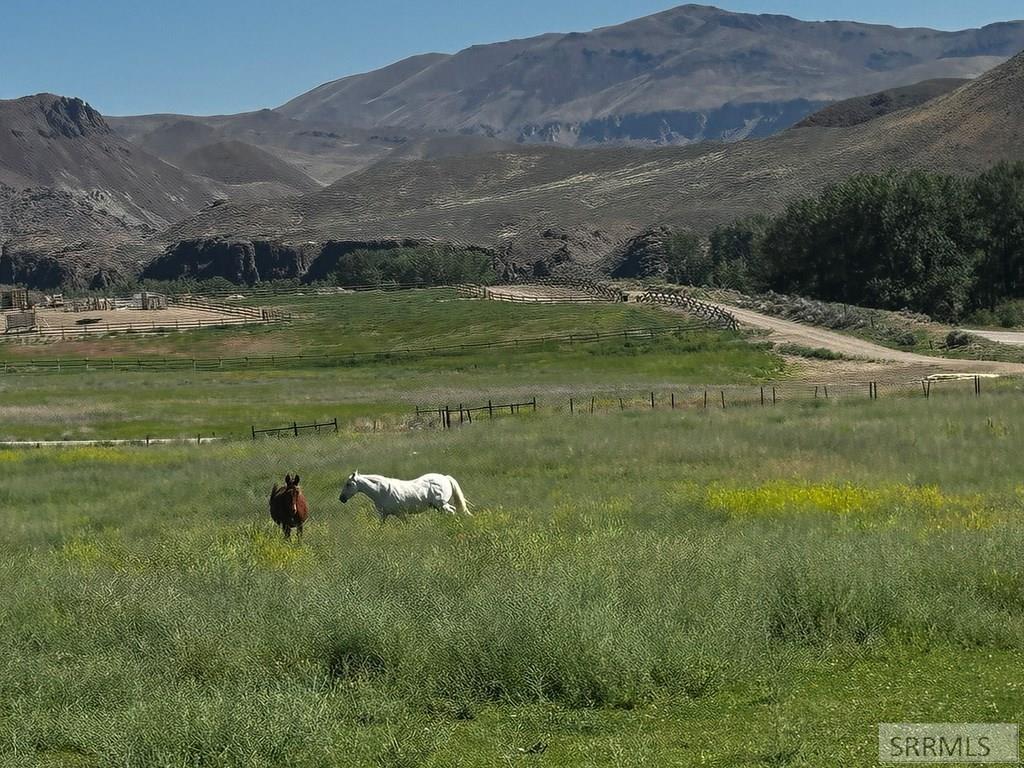 #6 Homestead Trail