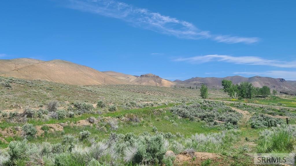 #6 Homestead Trail