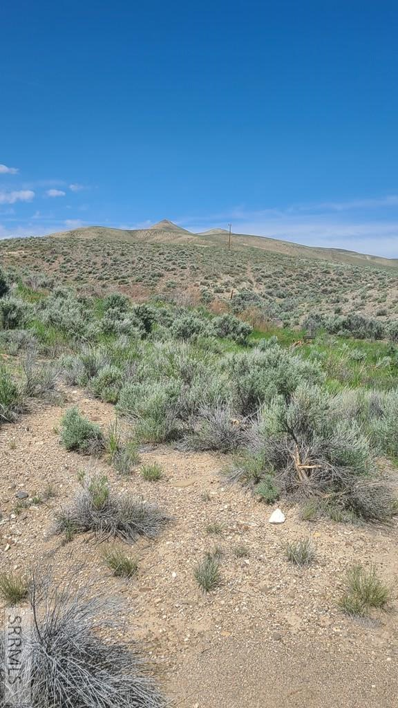 #6 Homestead Trail