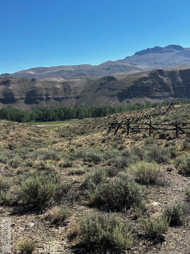 #6 Homestead Trail