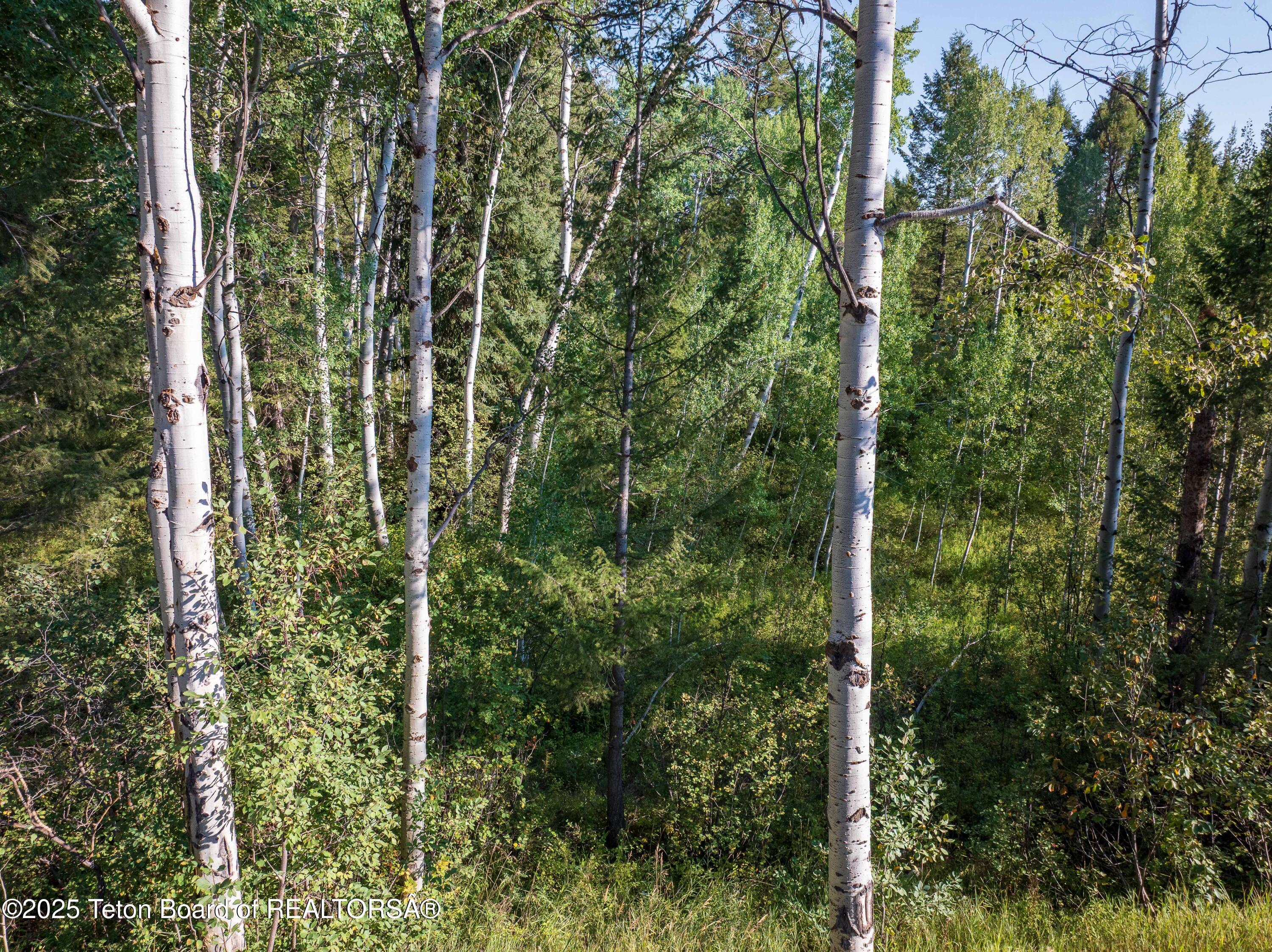 LOT 55-58 GREEN CANYON DR