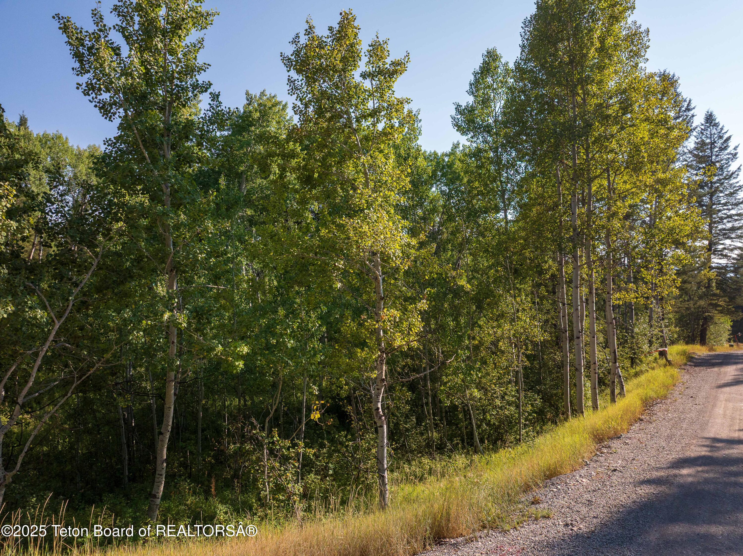 LOT 55-58 GREEN CANYON DR