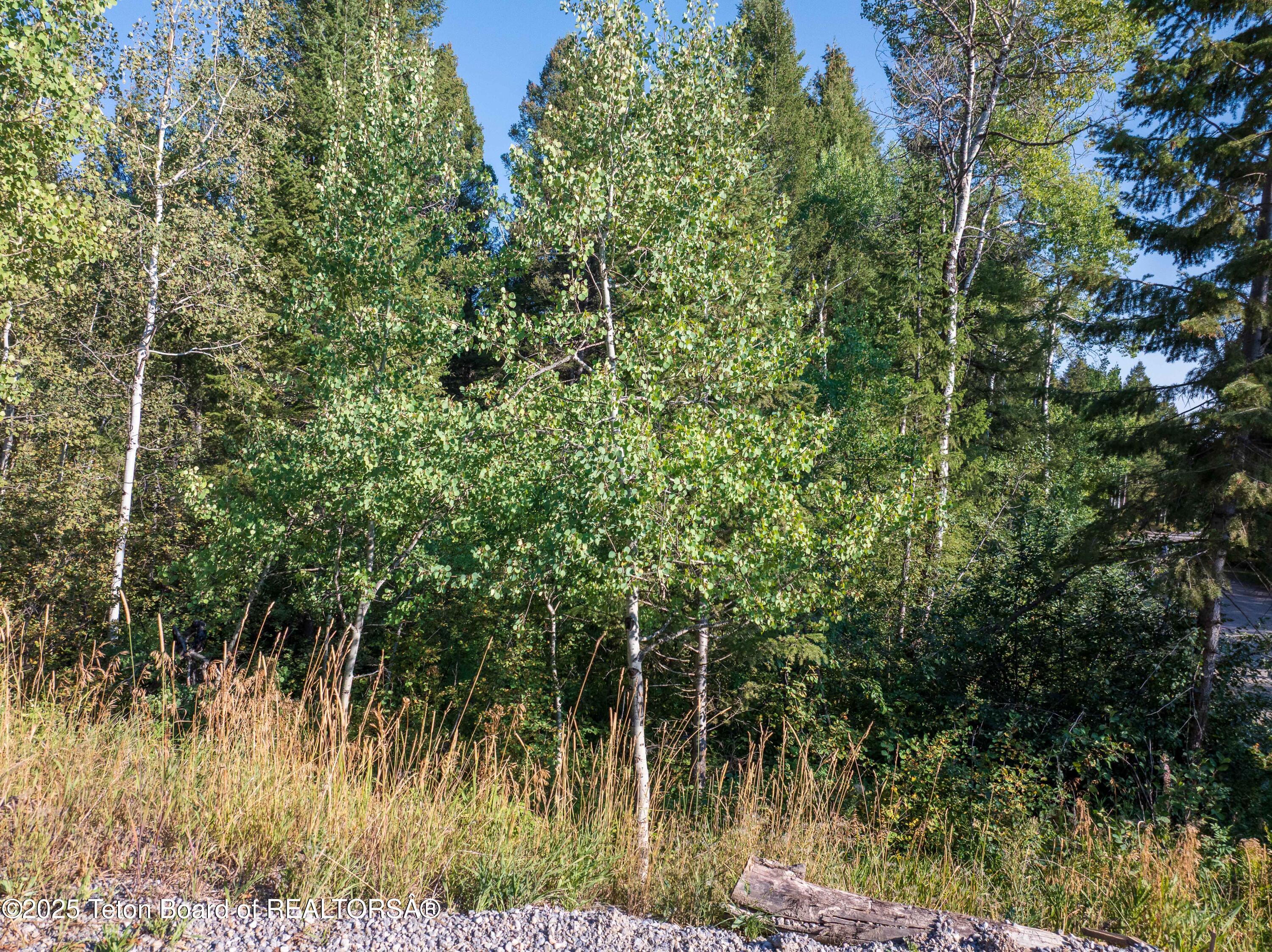 LOT 55-58 GREEN CANYON DR