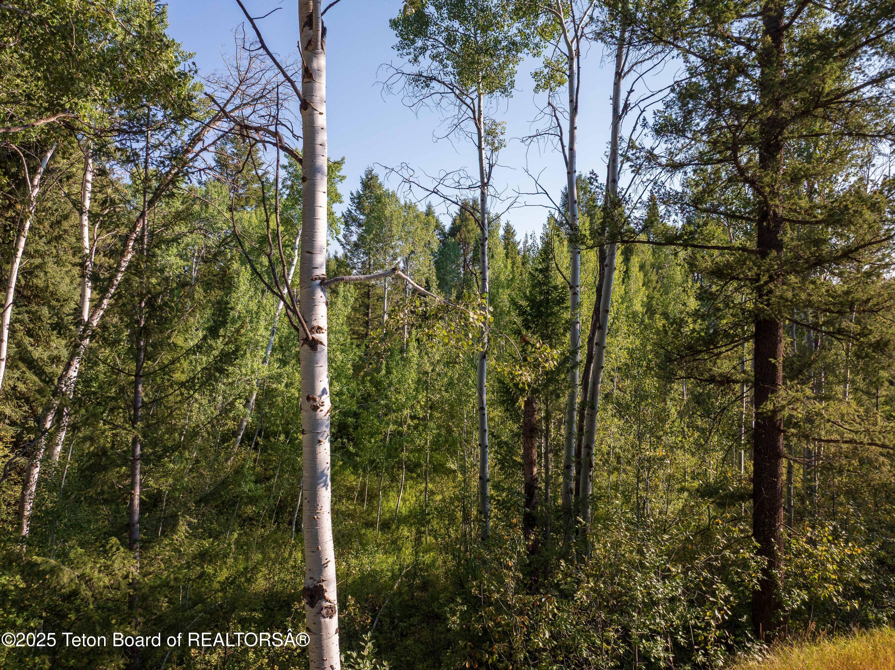 LOT 55-58 GREEN CANYON DR