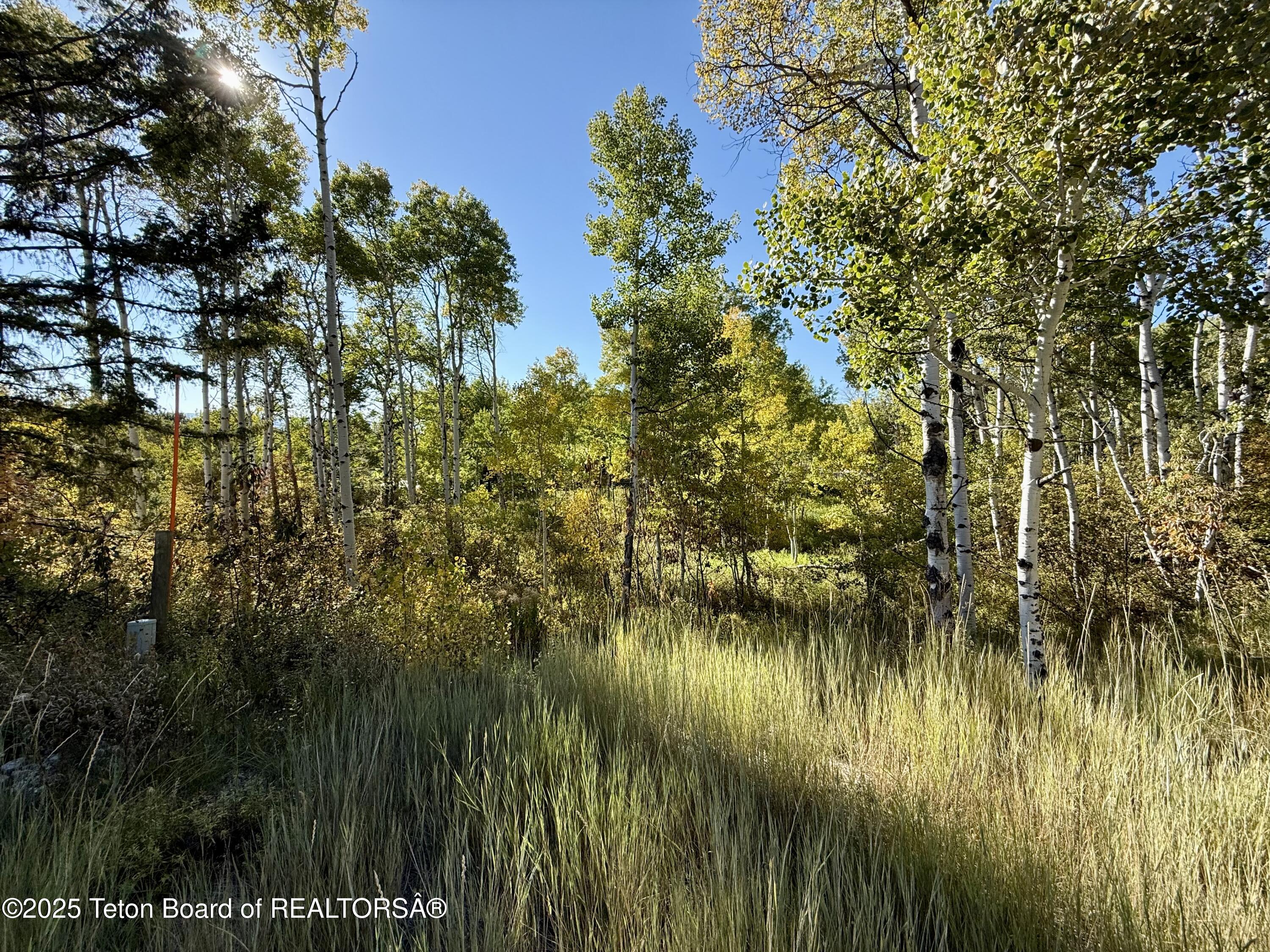 LOT 51 VISTA Drive, Star Valley Ranch