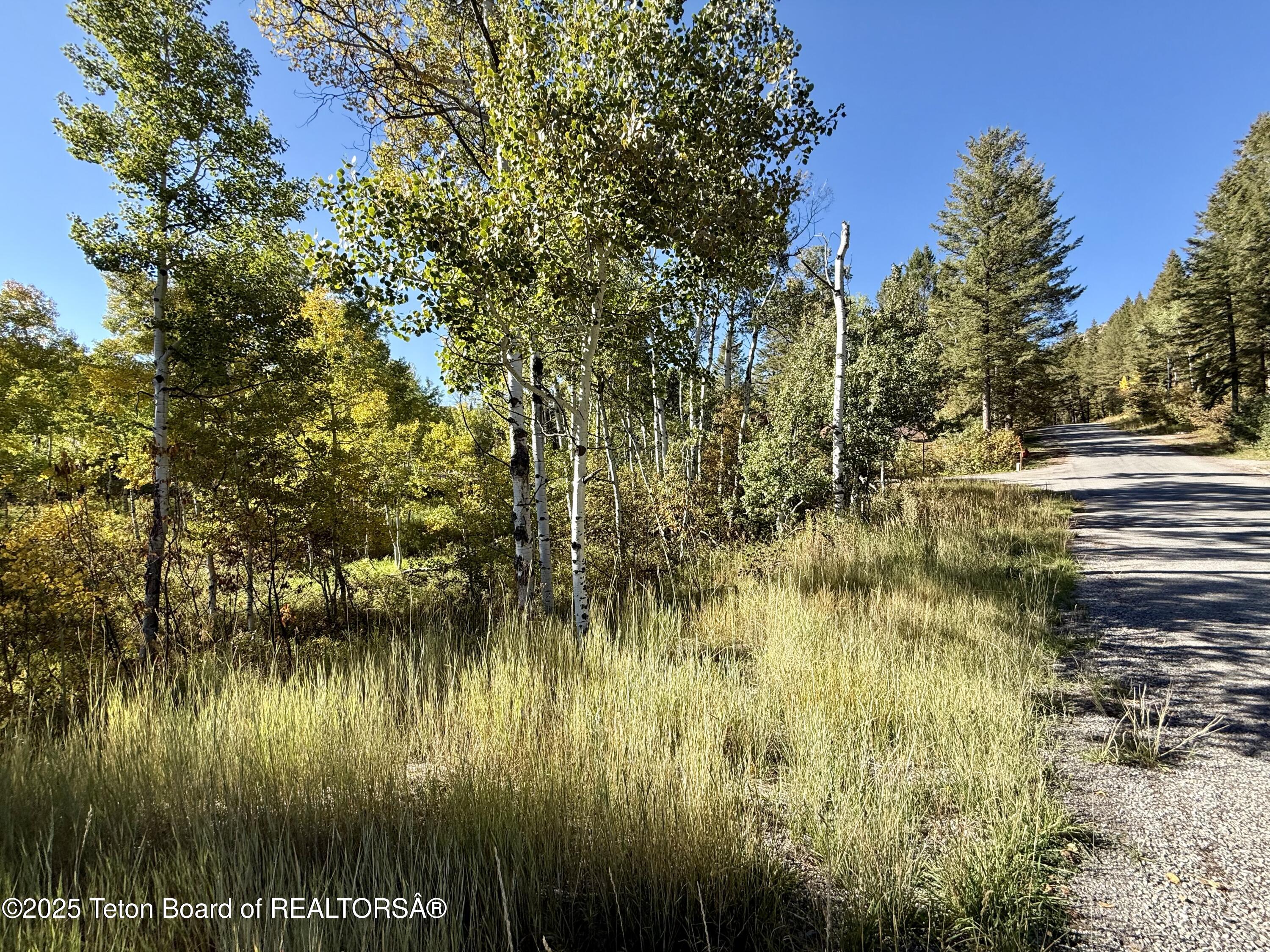 LOT 51 VISTA Drive, Star Valley Ranch