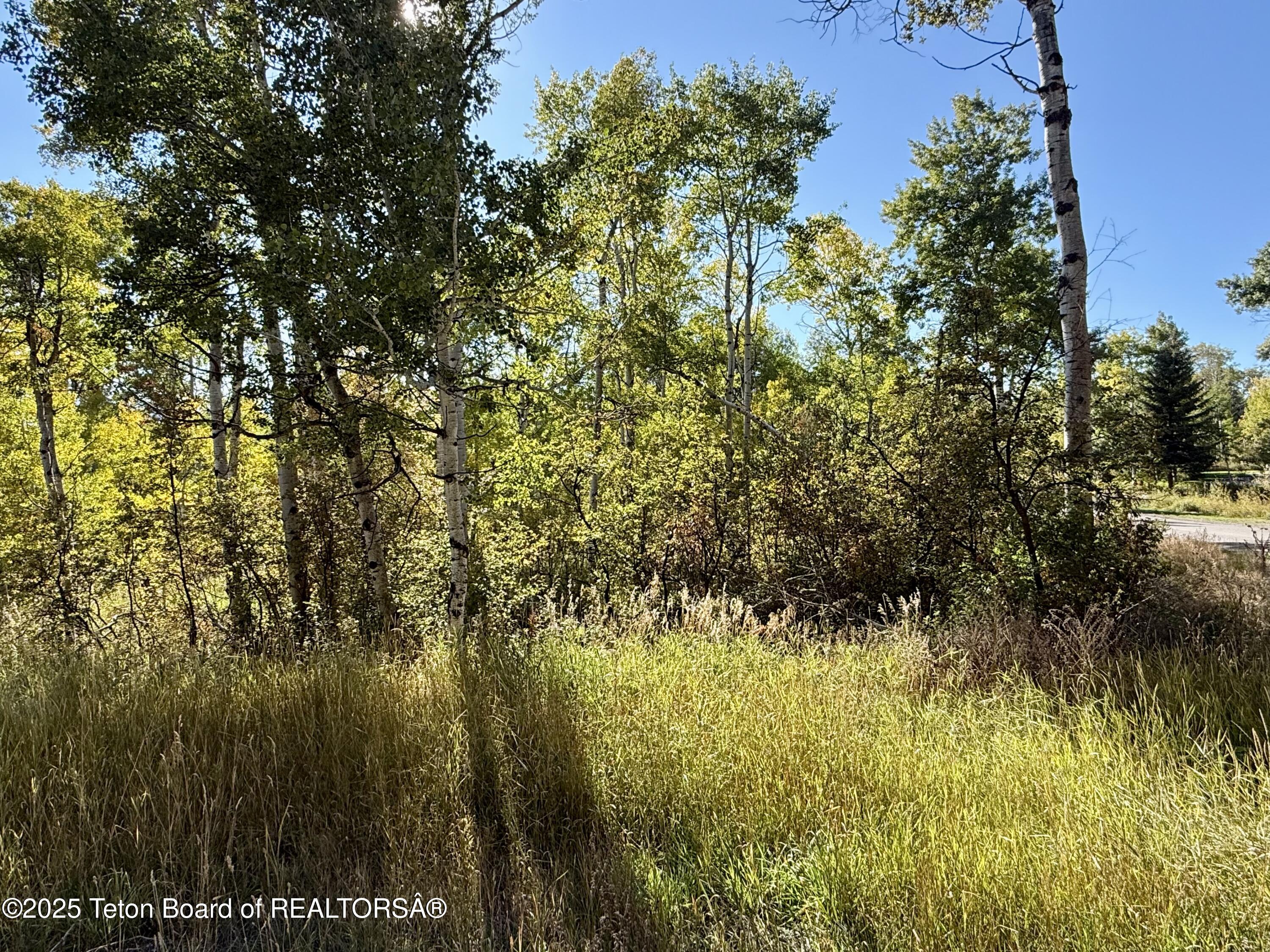 LOT 51 VISTA Drive, Star Valley Ranch