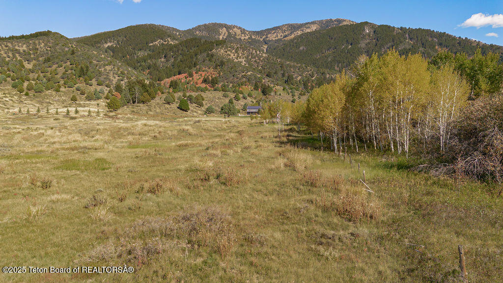 176 ELK PATH