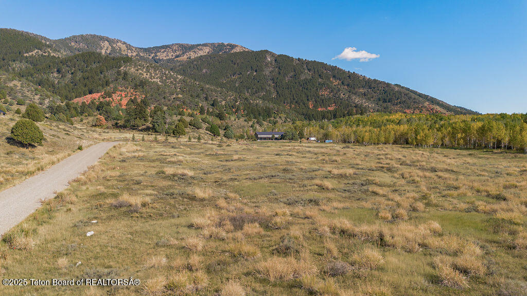 176 ELK PATH