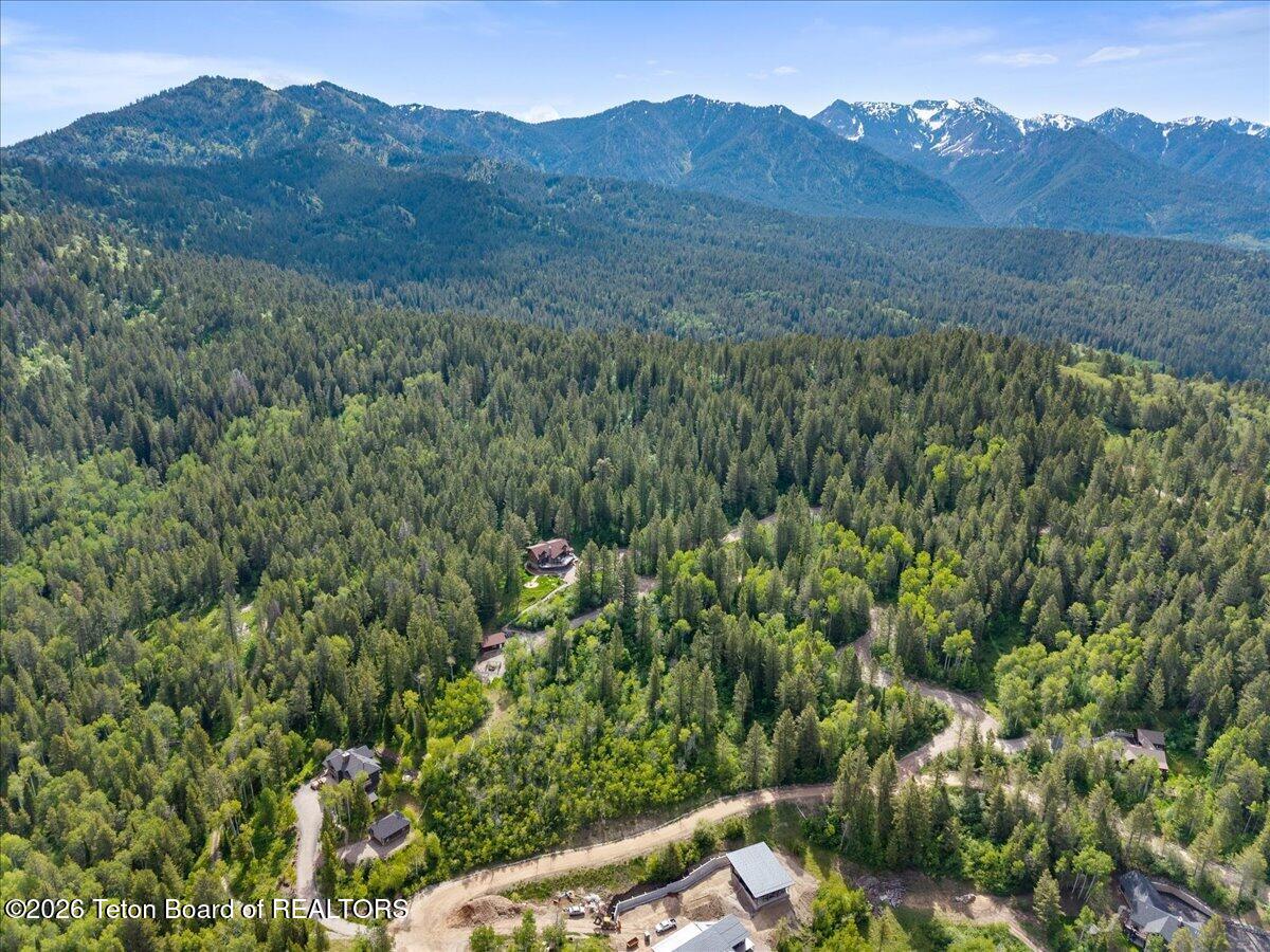 1558 TRAIL RIDGE Road