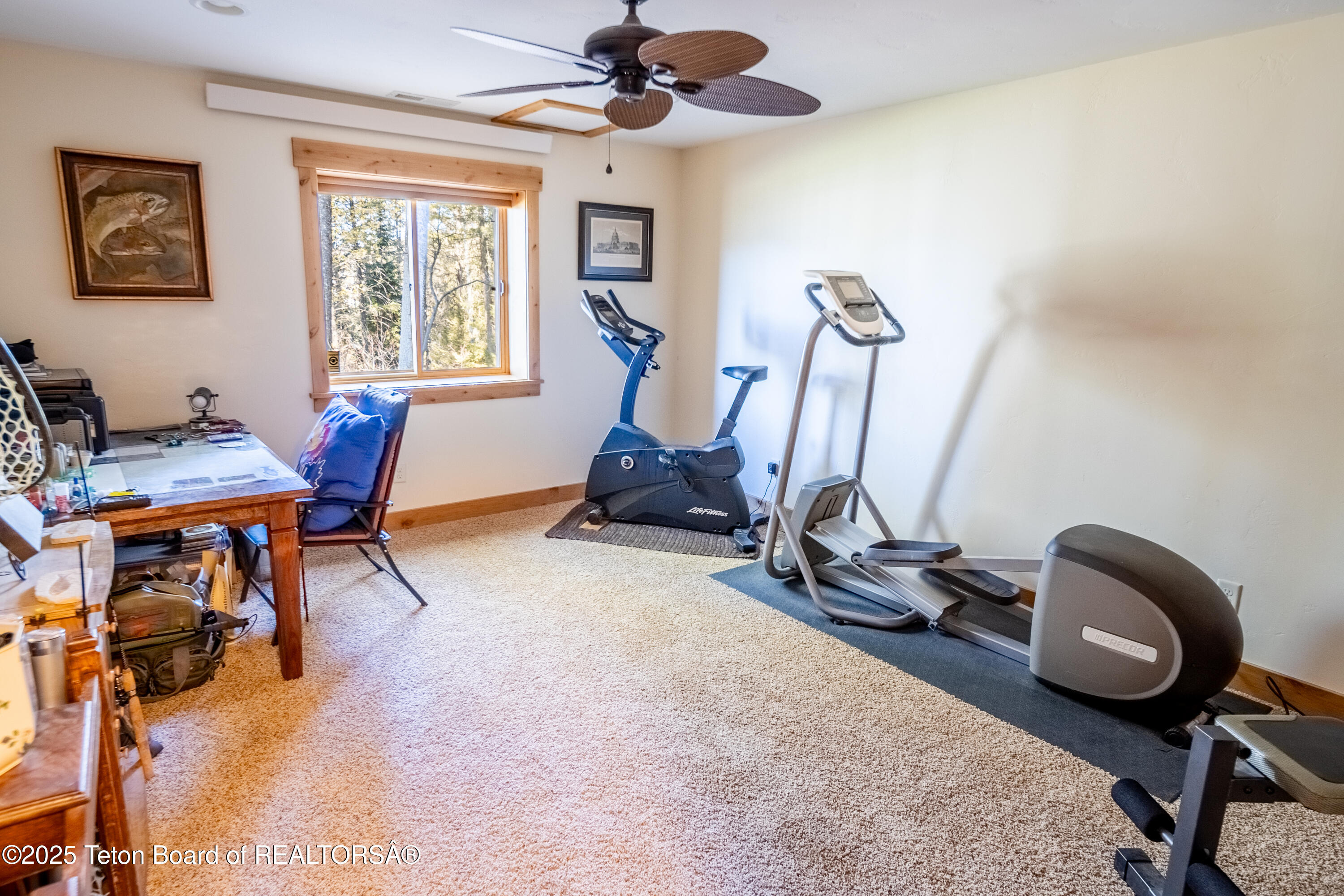 1558 TRAIL RIDGE Road