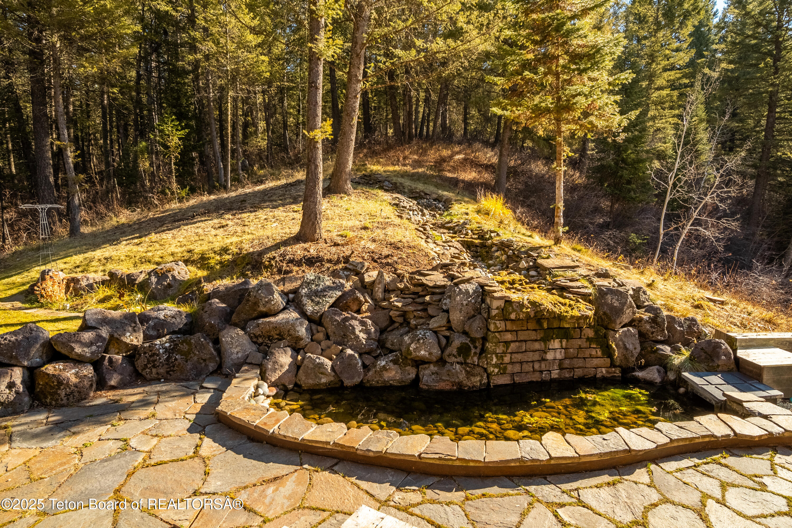 1558 TRAIL RIDGE Road