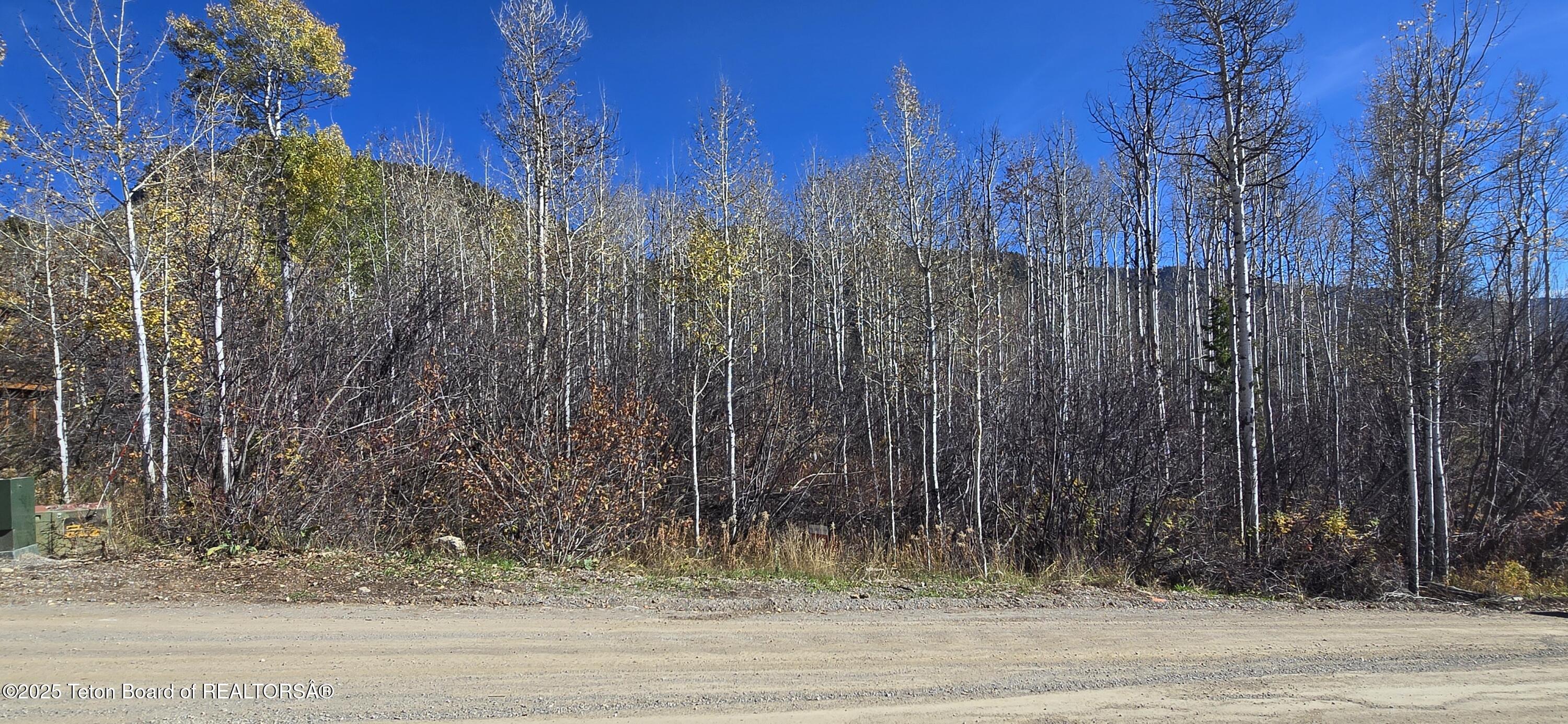 CEDAR DRIVE