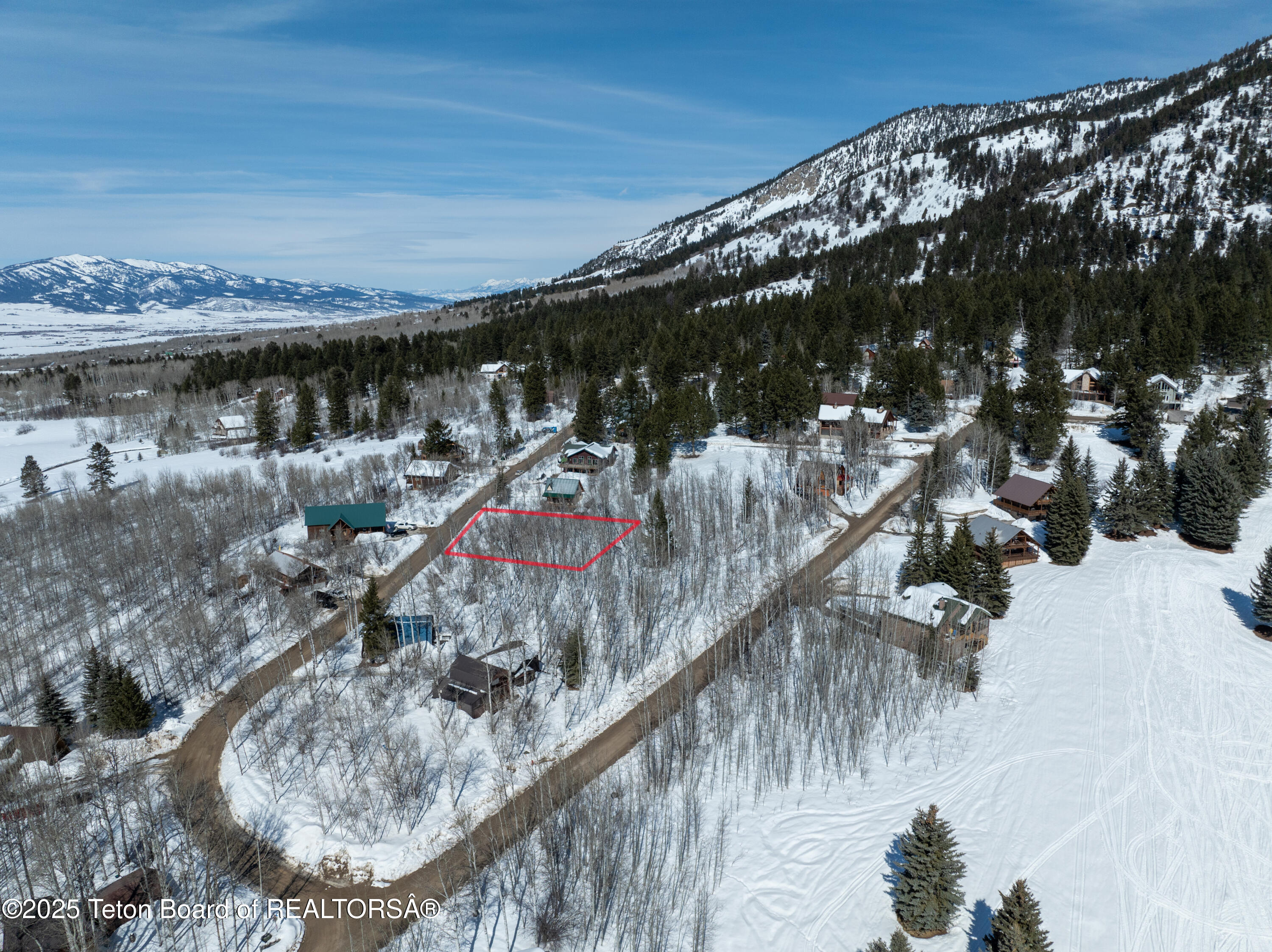 CEDAR DRIVE