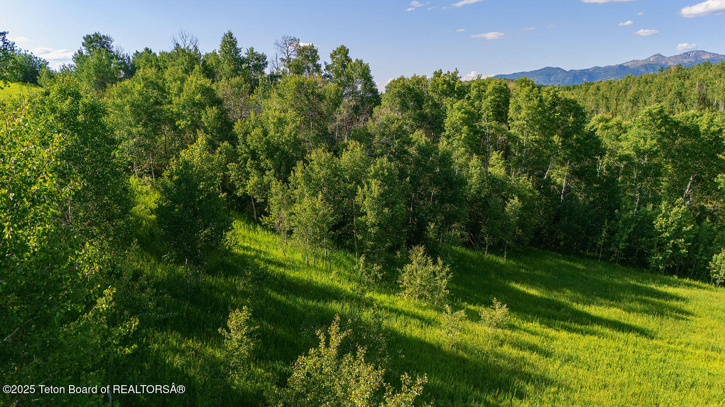 LOT 1 STRAWBERRY HILLS DRIVE, Thayne