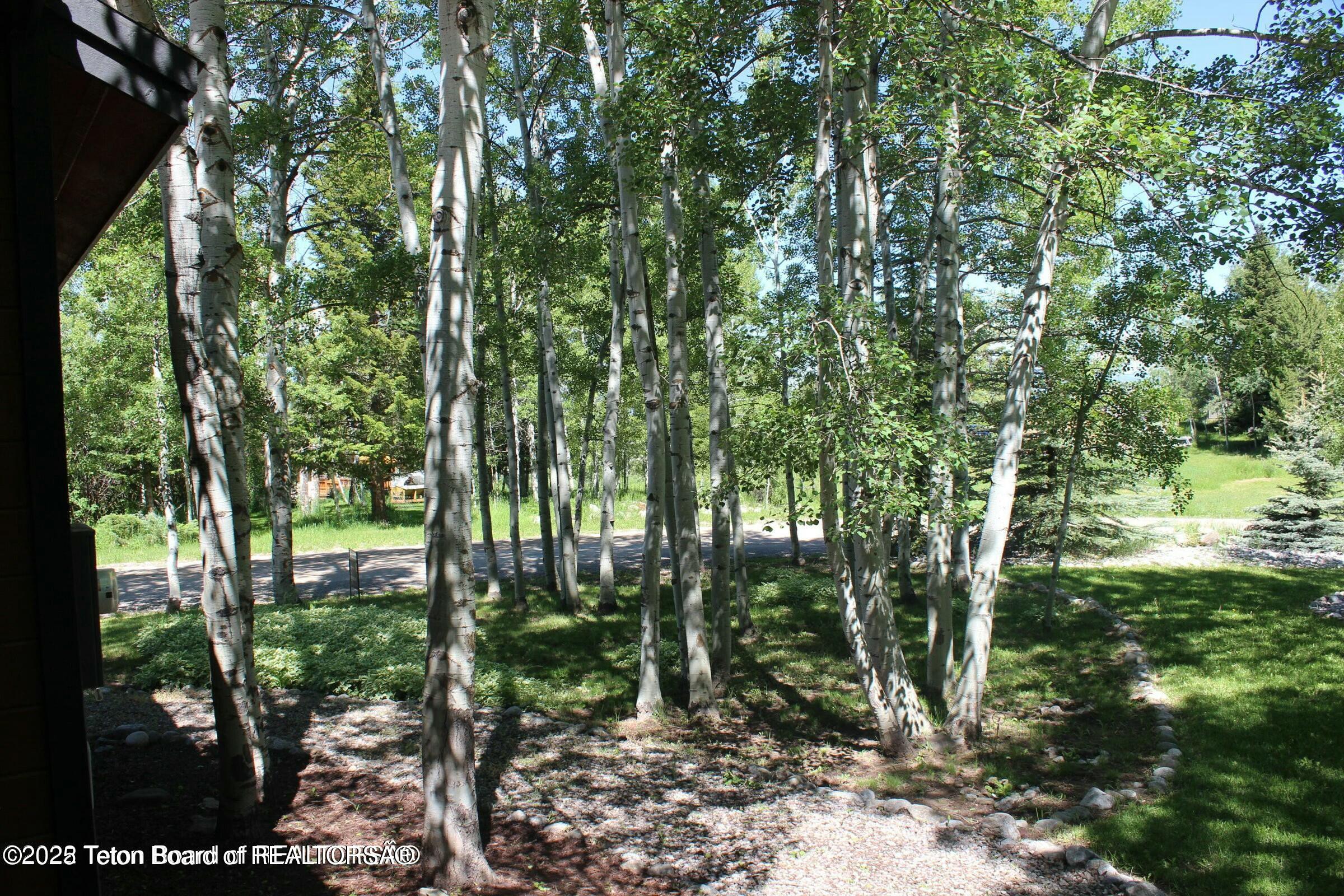 236 SUGAR LOAF Drive