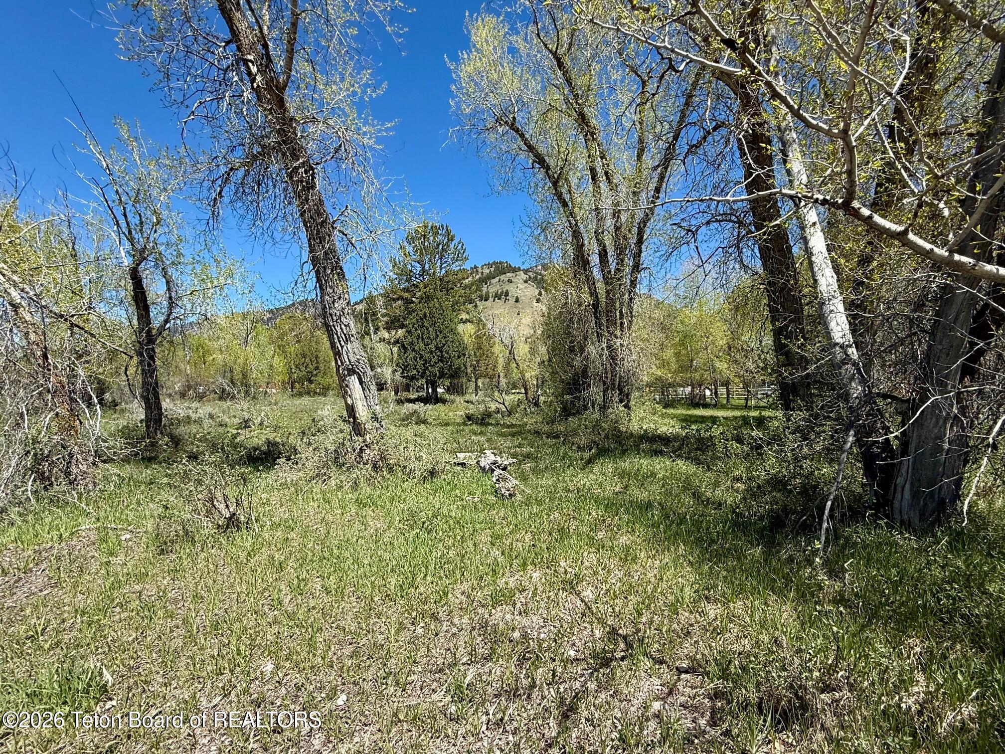 LOT 157 PAINTBRUSH Court