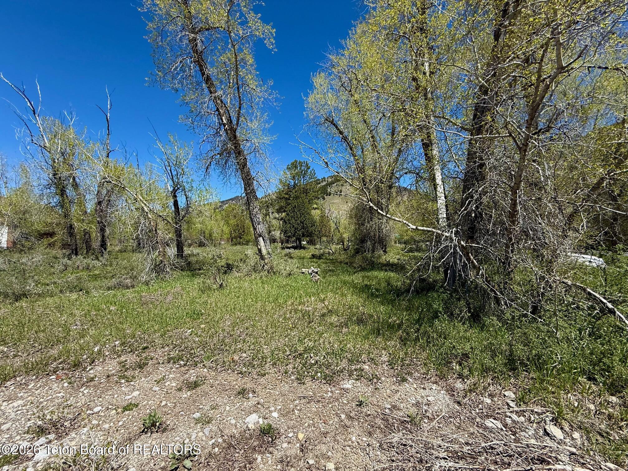 LOT 157 PAINTBRUSH Court