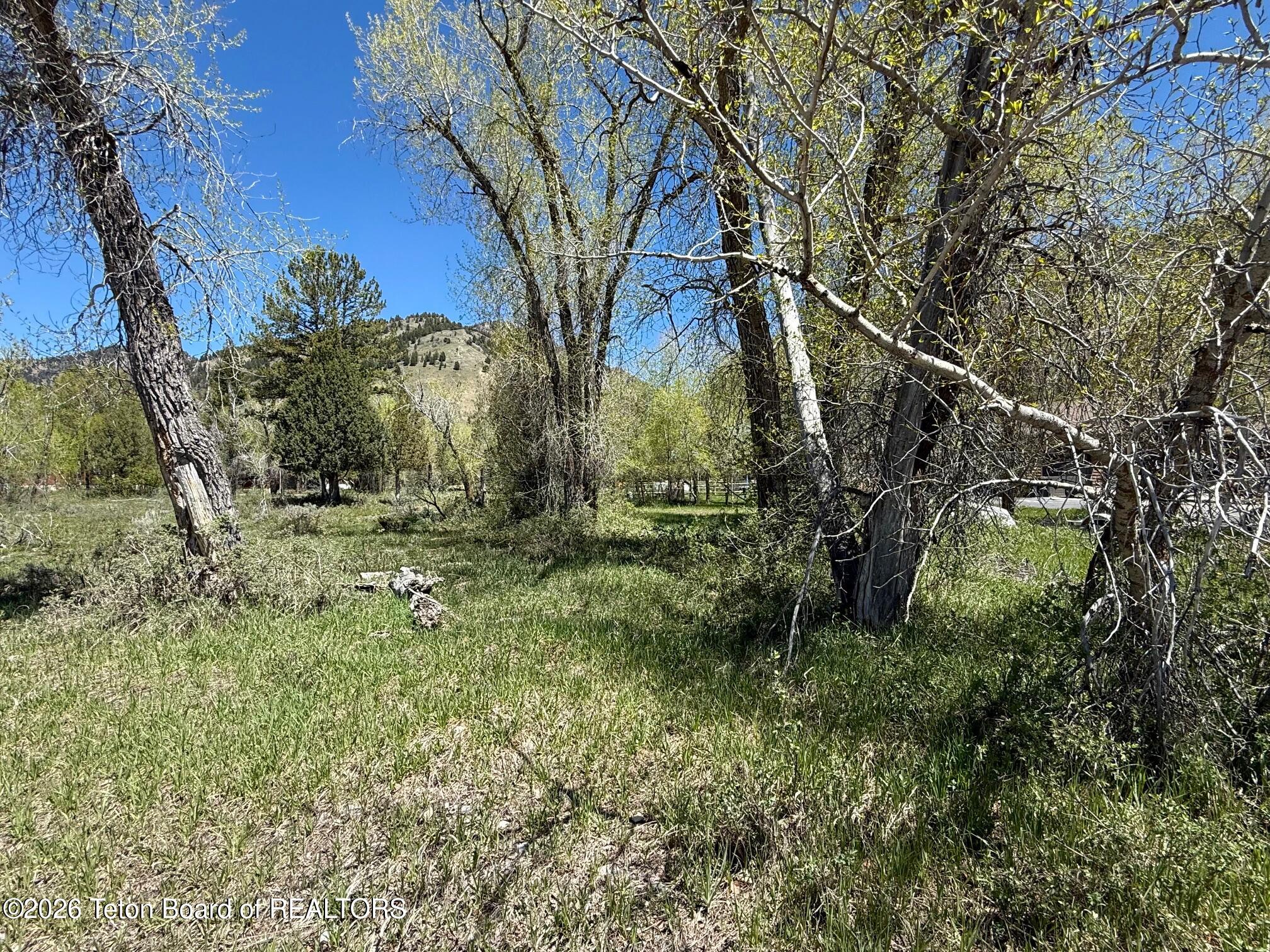 LOT 157 PAINTBRUSH Court
