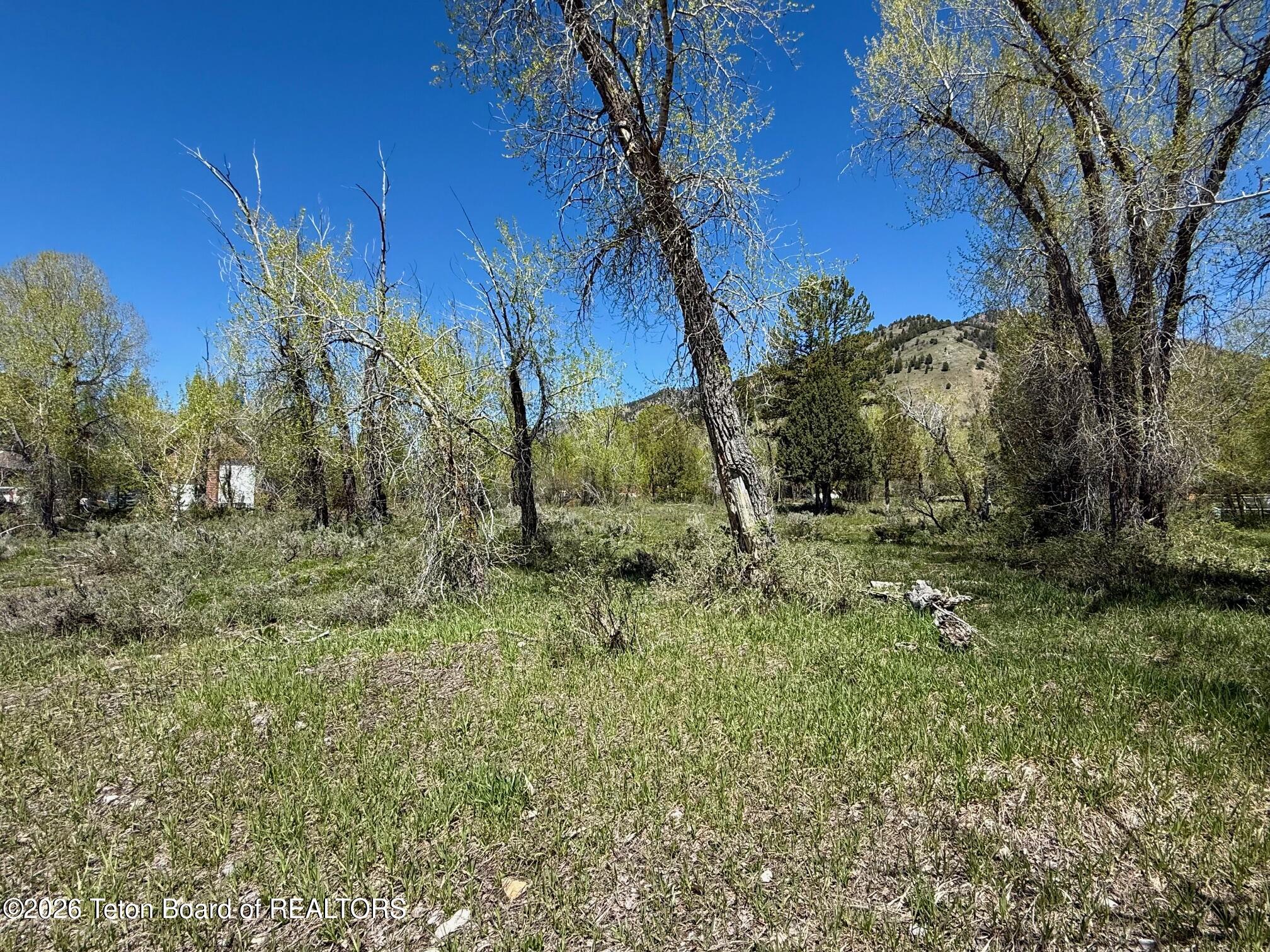 LOT 157 PAINTBRUSH Court