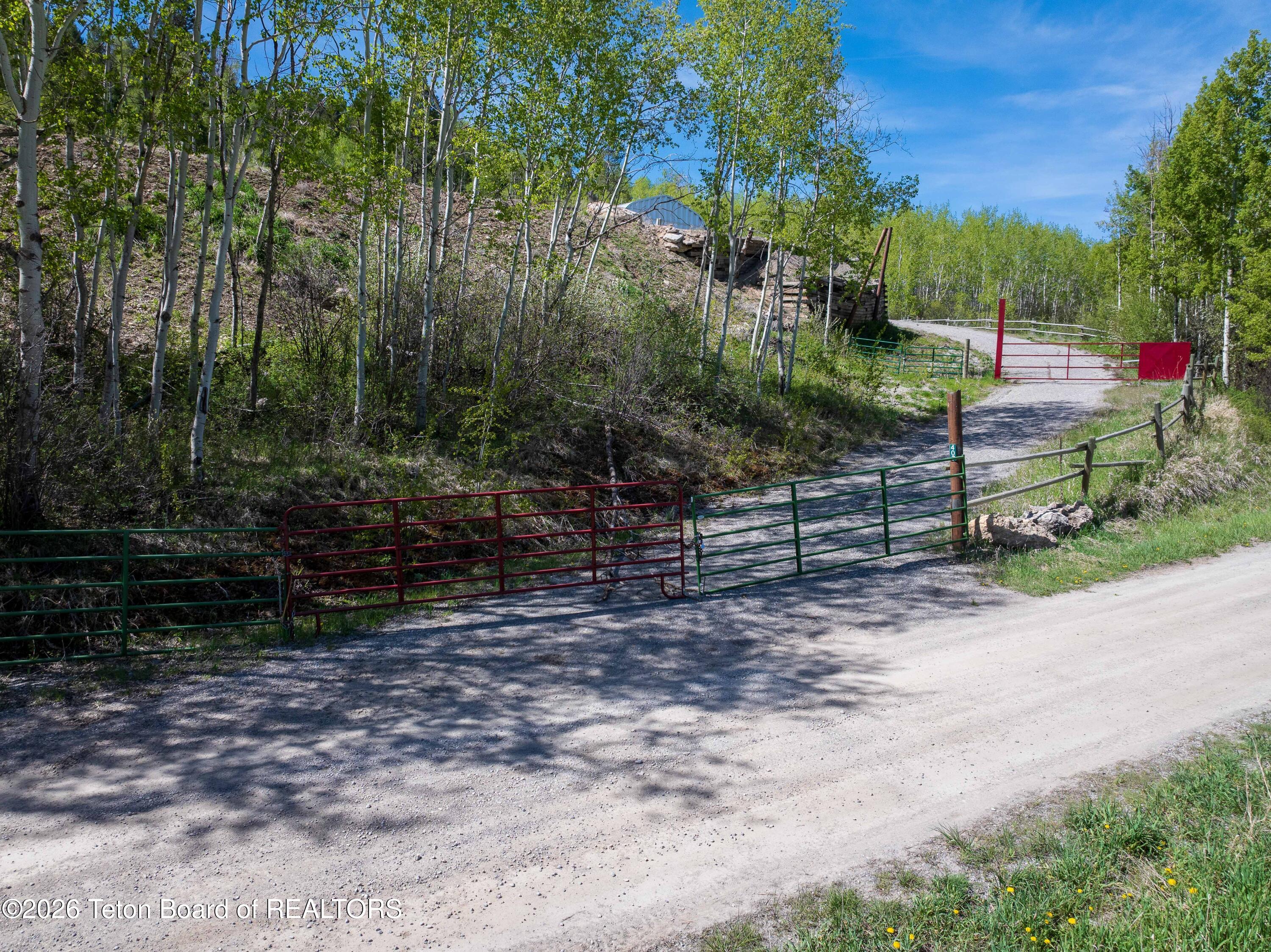 407 FREEDOM RIDGE Road
