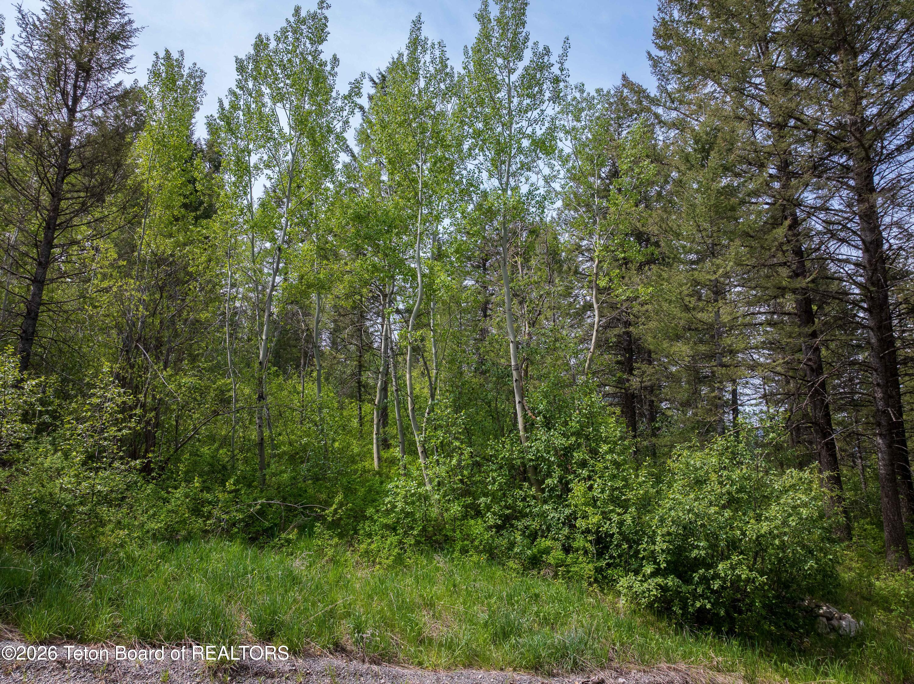 LOT 44 SPRUCE Drive