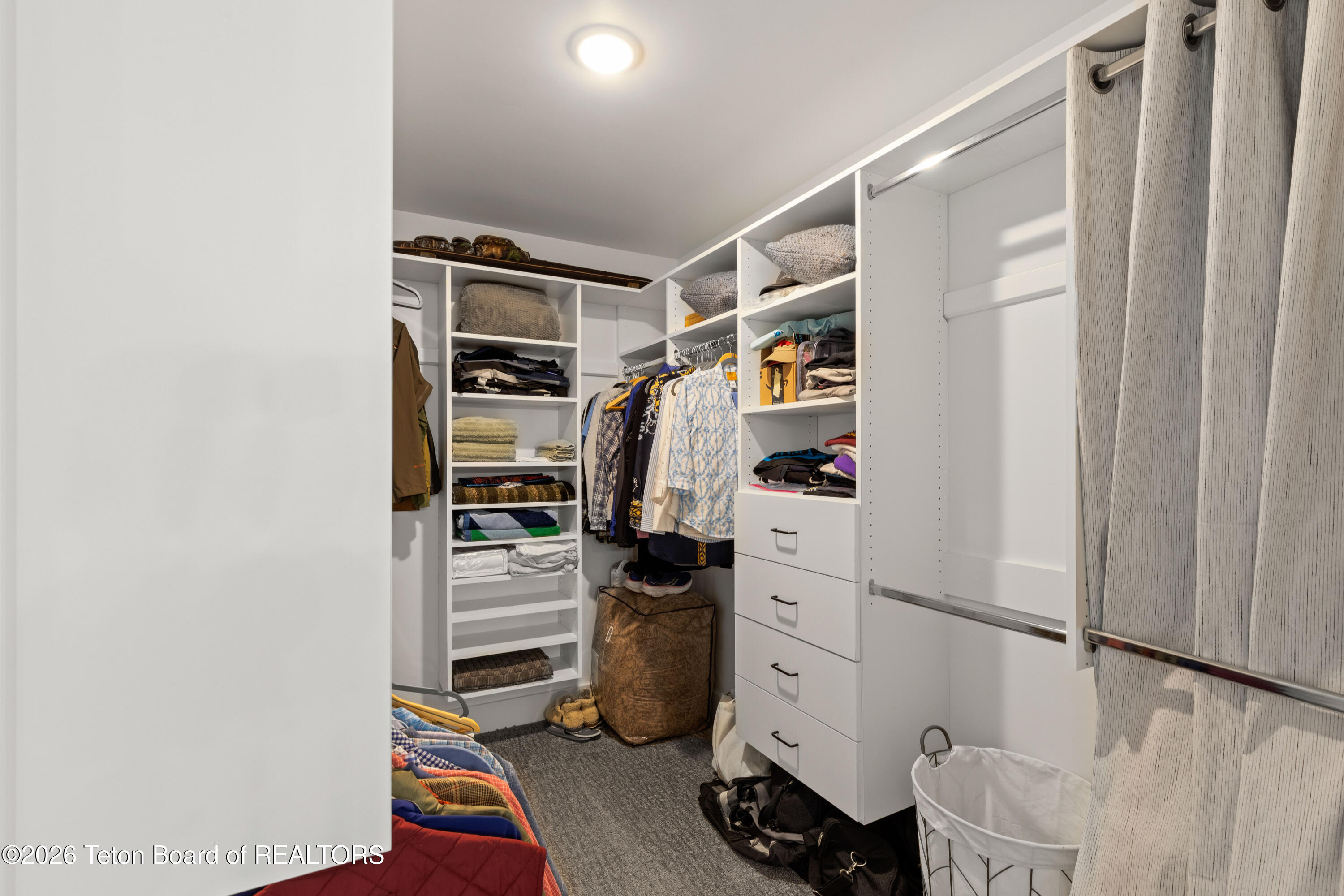 540 LITTLE GREYS Loop