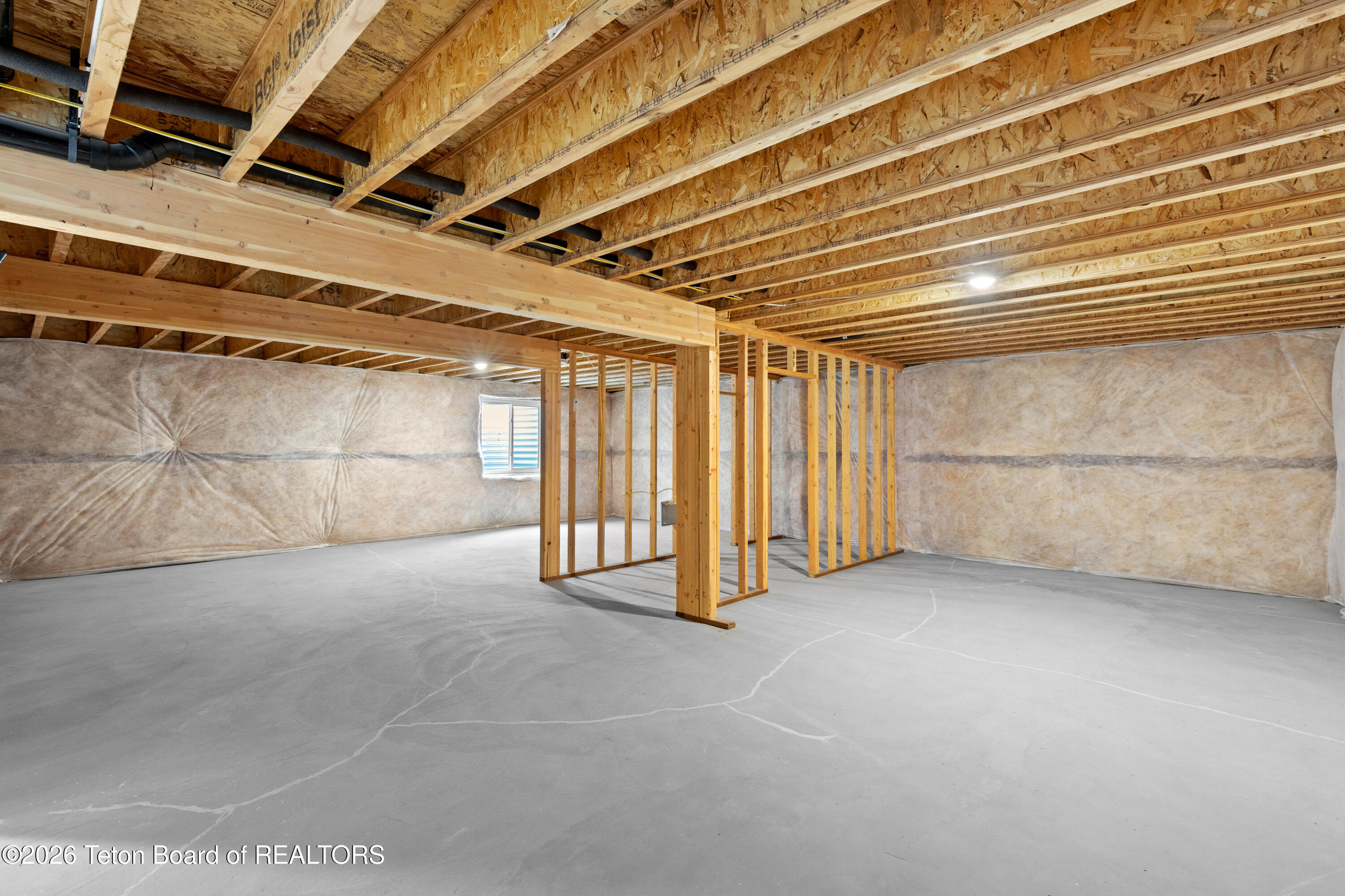 540 LITTLE GREYS Loop